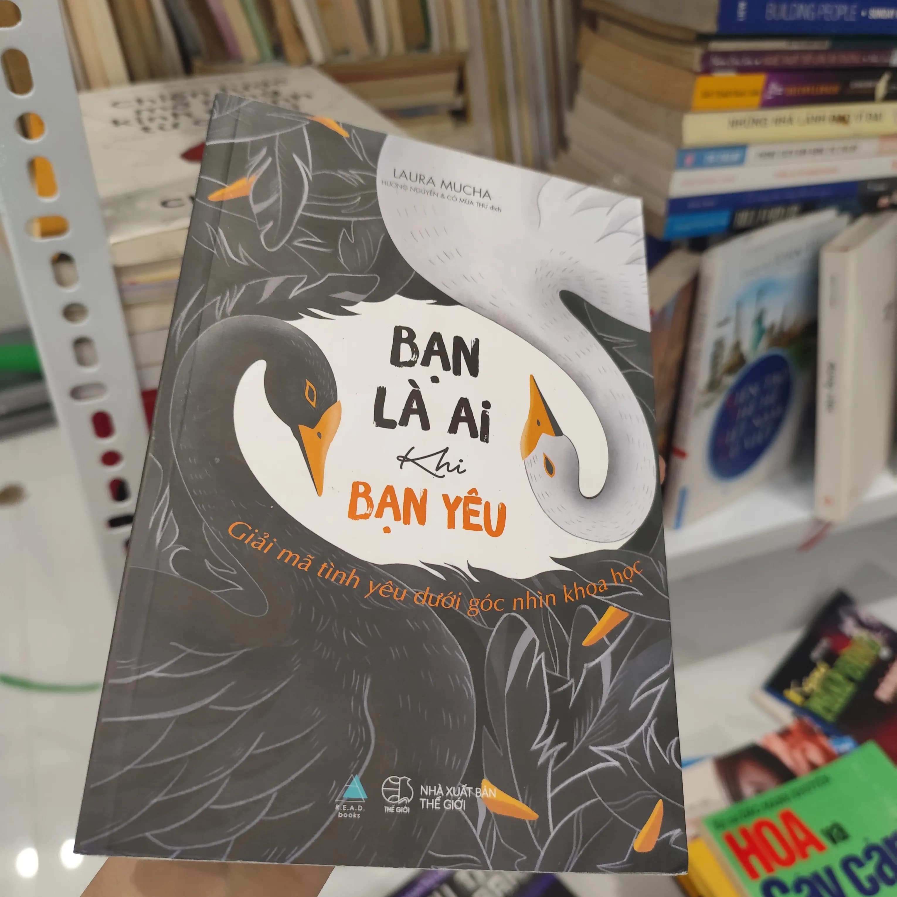 Bạn là ai khi bạn yêu - Image 1