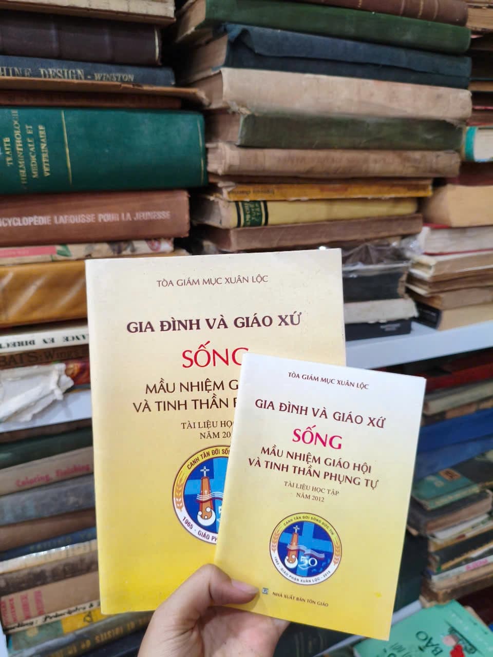 Gia Đình Và Giáo xứ - Sống Màu Nhiệm Giáo Hội Và Thinh Thần Phụng Tự - Image 1