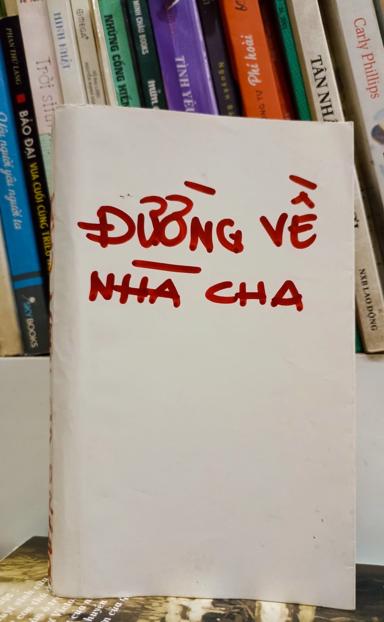 Đường về nhà cha - Image 1