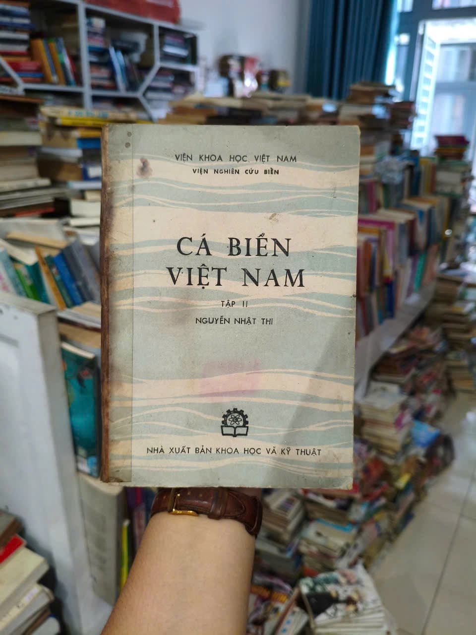 Cá Biển Việt Nam II - Image 1
