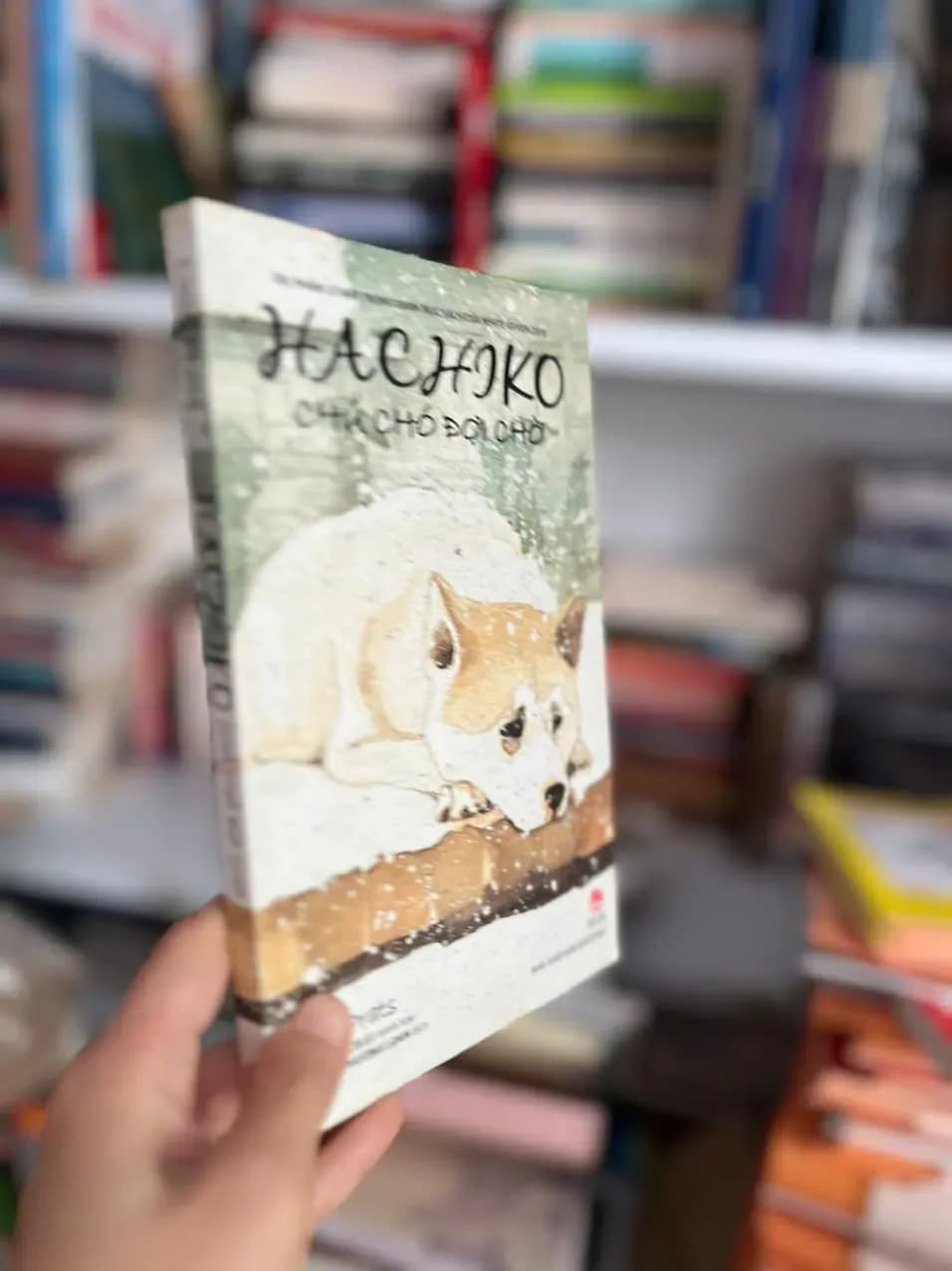 Cuốn sách Hachiko – Chú Chó Đợi Chờ – Luis Prats ⭐ - Image 1