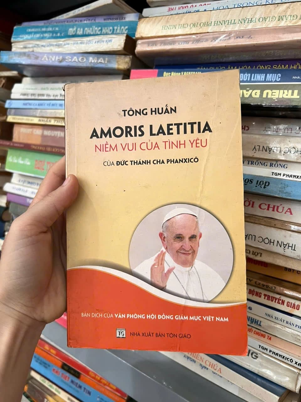 Tông huấn Amoris Laetitia – Niềm vui của Tình yêu + Niềm hoan lạc của tình yêu - Image 1