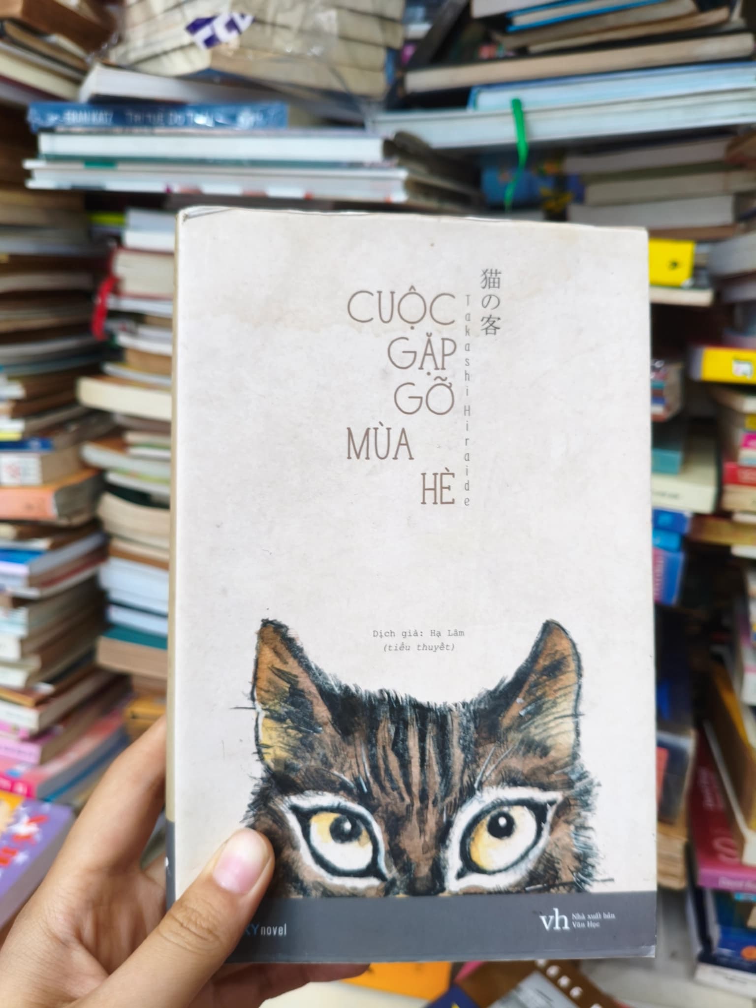 Cuộc gặp gỡ mùa hè - Image 1