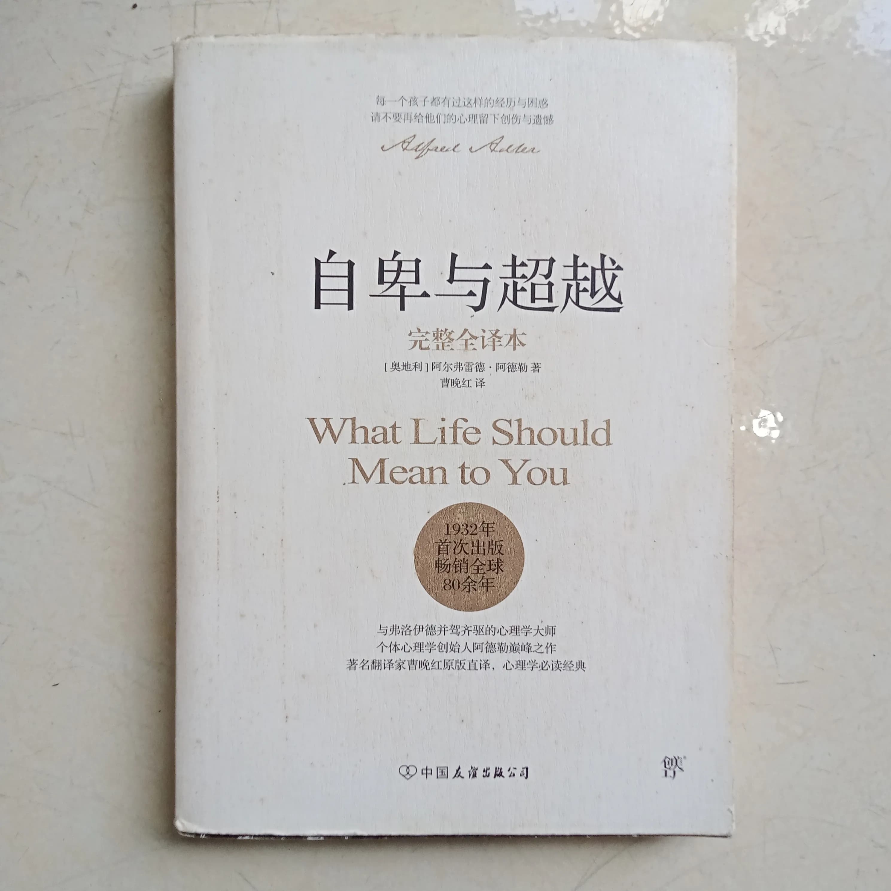 自卑与超越" (Tự ti và Siêu việt) - Image 1