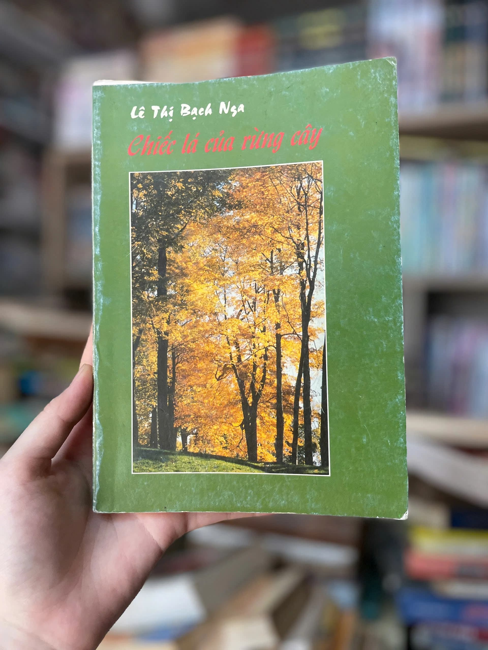 Chiếc Lá Của Rừng Cây - Lê Thị Bạch Nga - Image 1