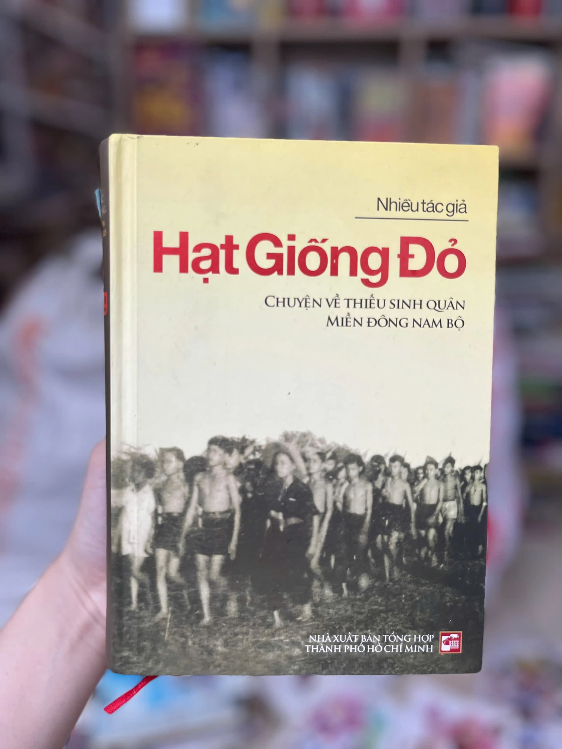 Hạt Giống Đỏ-Chuyện Về Thiếu Sinh Quân Miền Đông Nam Bộ - Image 1