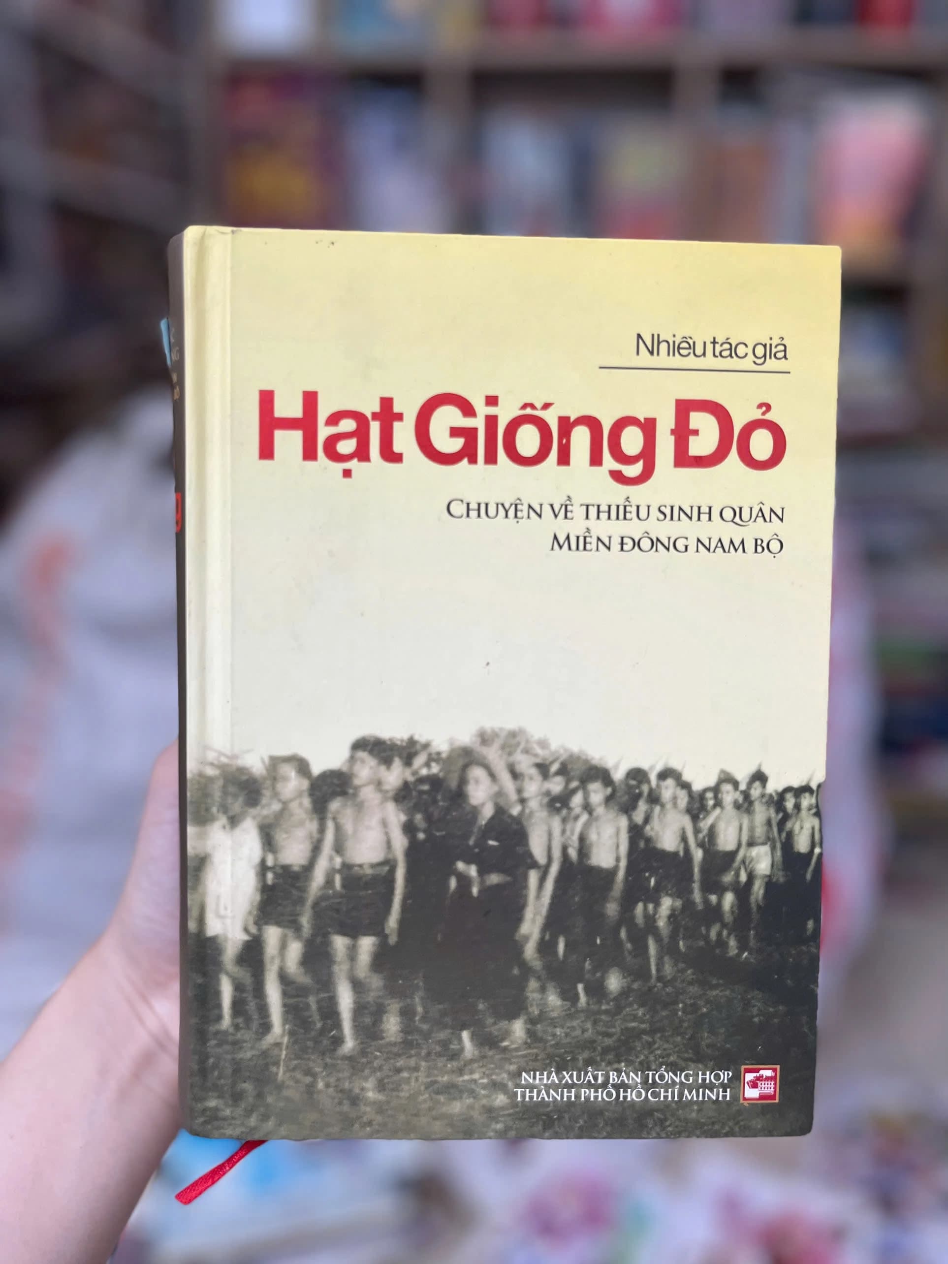 Hạt Giống Đỏ-Chuyện Về Thiếu Sinh Quân Miền Đông Nam Bộ - Image 1