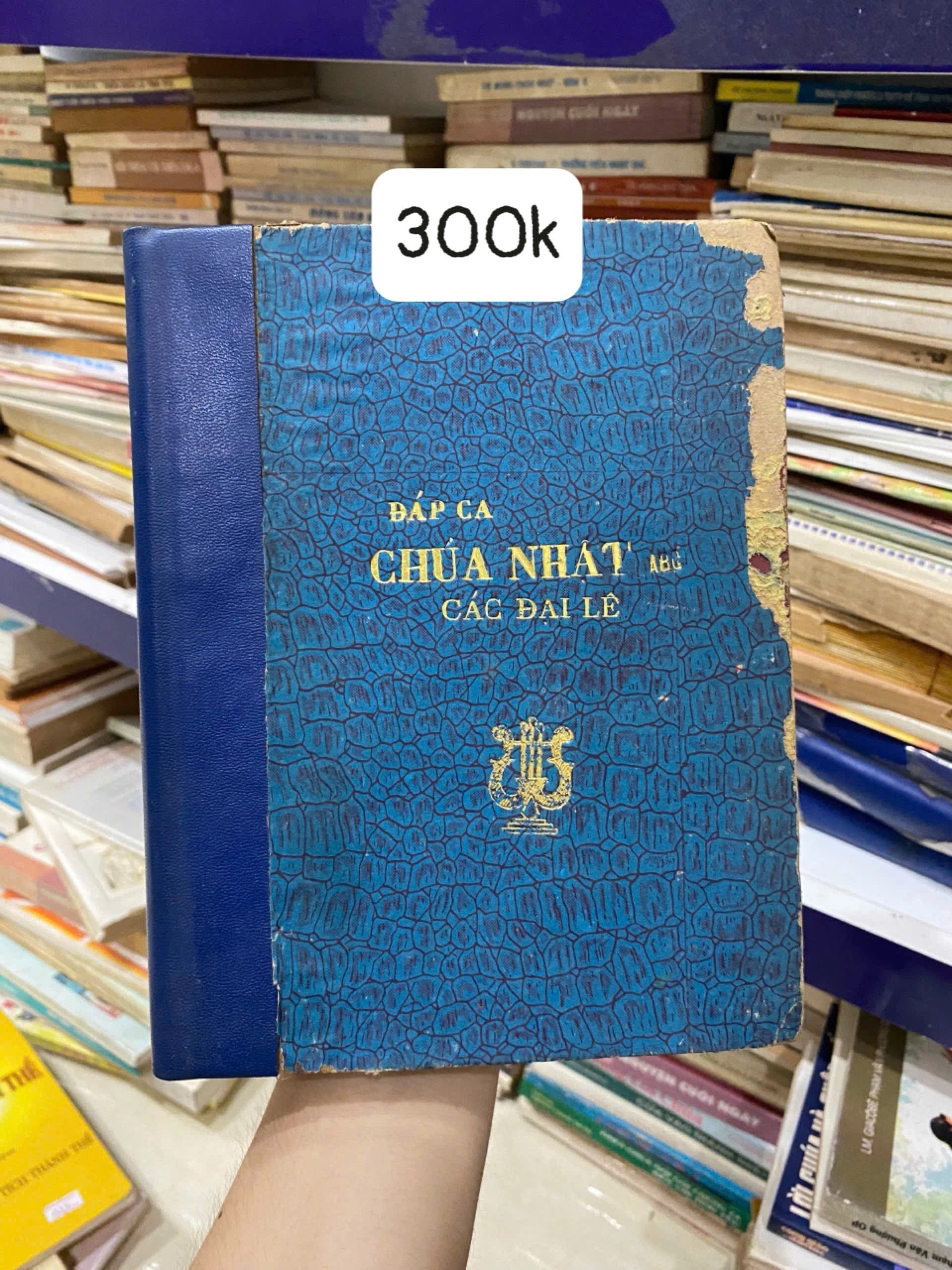 Đáp ca Chúa Nhật các đại lễ - Image 1