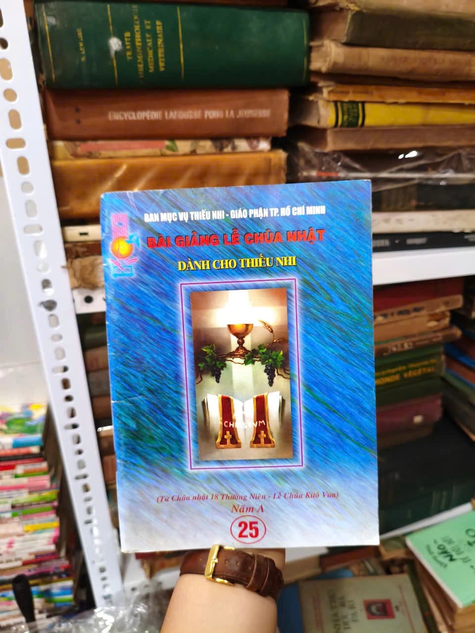 Bài Giảng Lễ Chúa Nhật - Dành cho thiếu nhi - Image 1