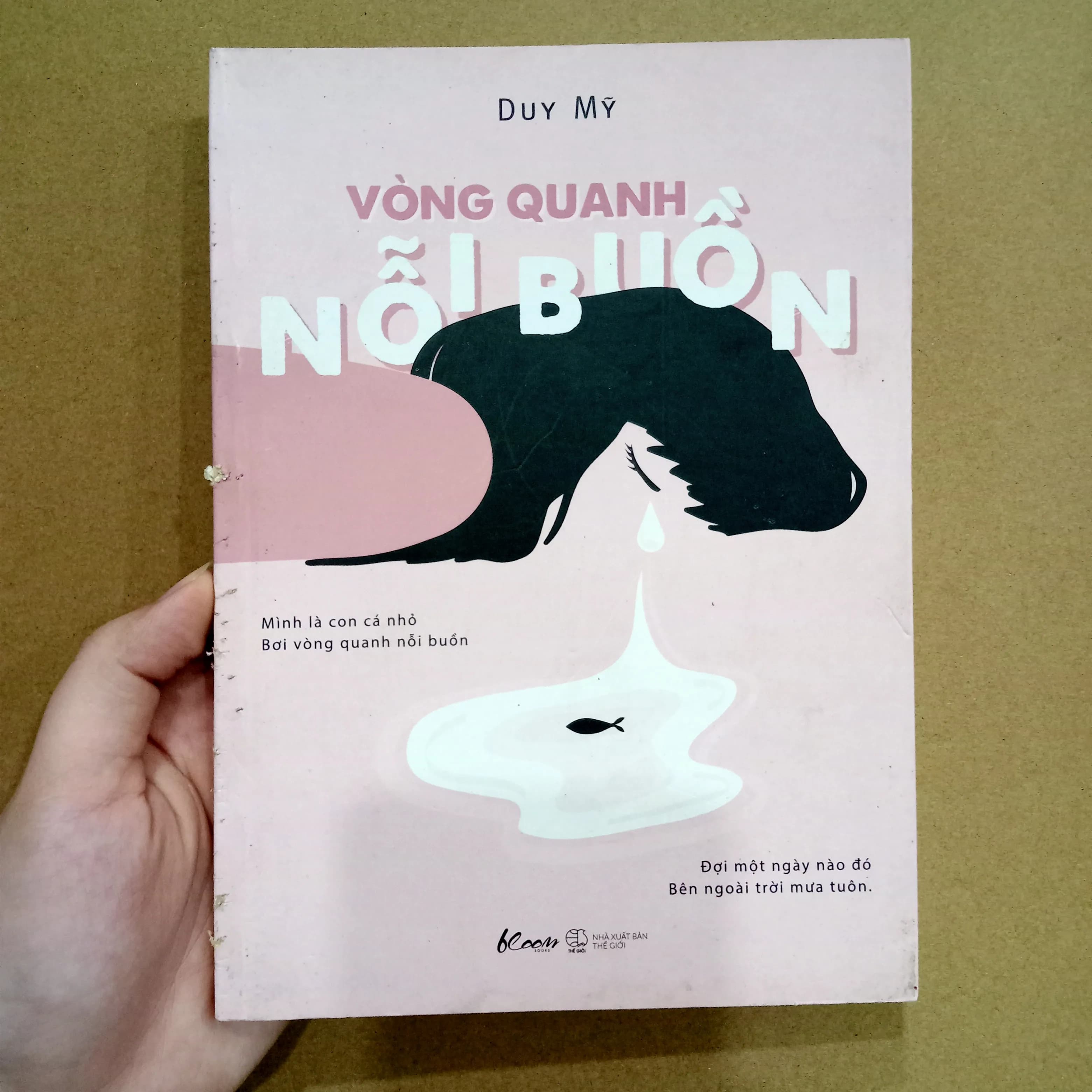 Vòng quanh nỗi buồn - Image 1