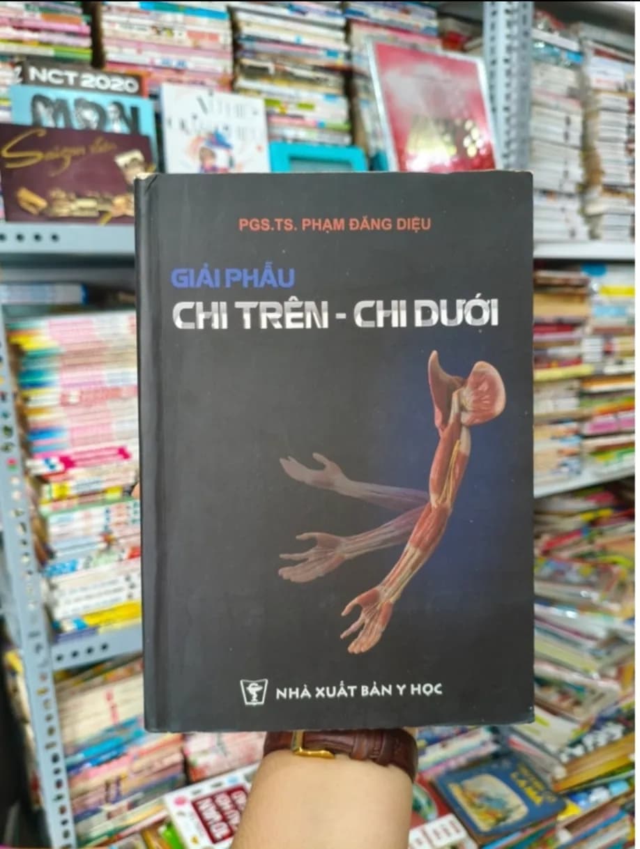 Giải phẫu chi trên chi dưới - Image 1