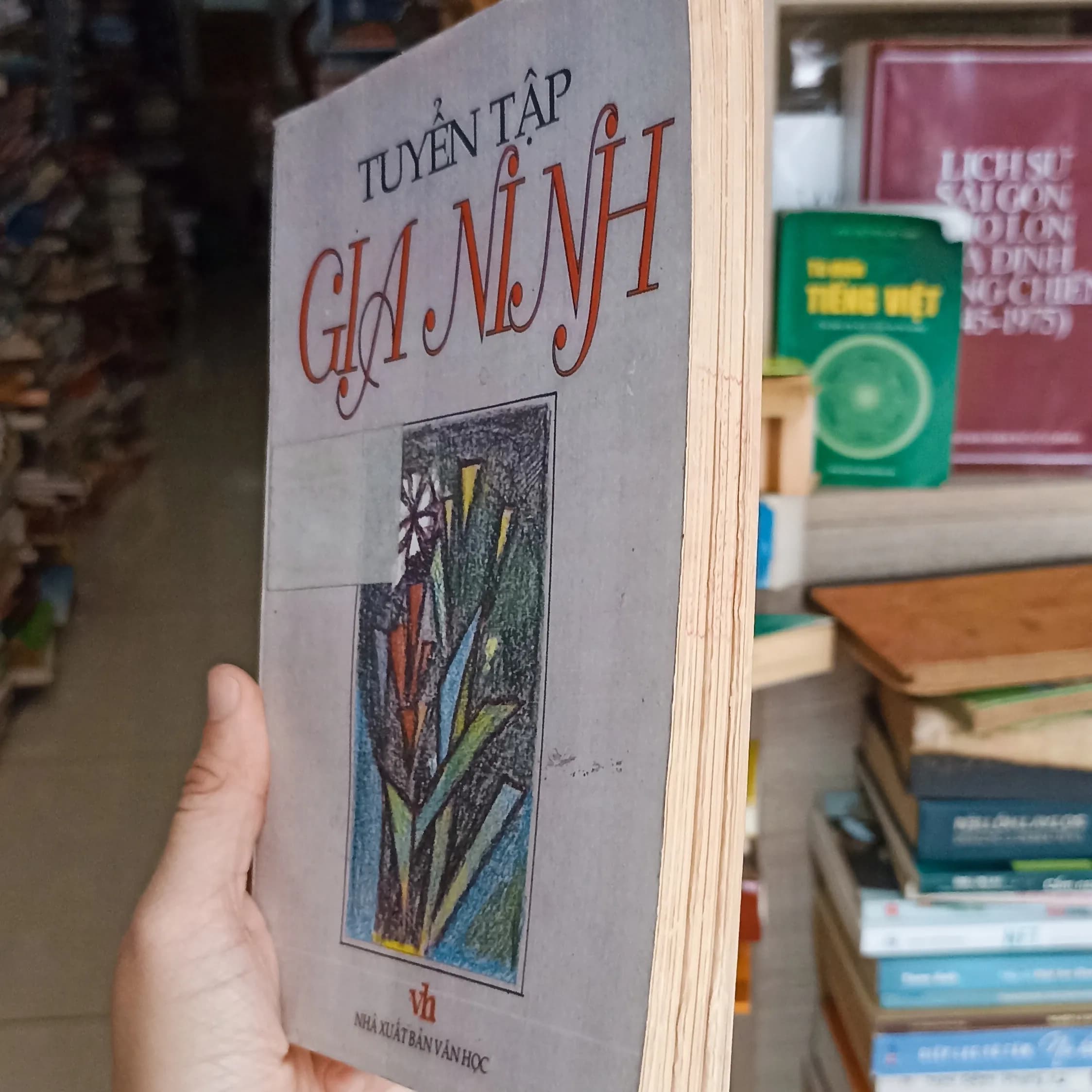 Tuyển tập gia ninh 1995 - Image 1