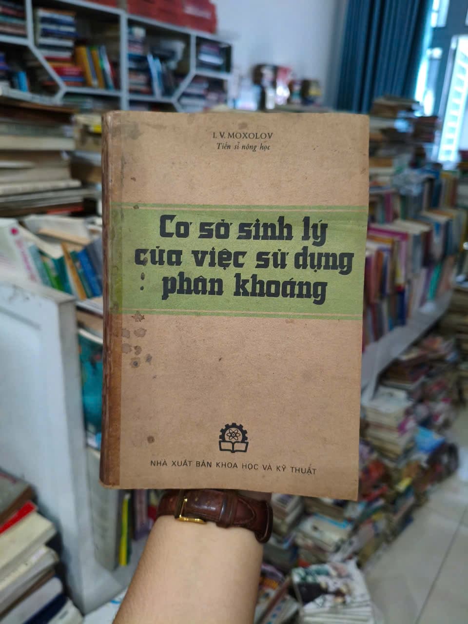 Cơ Sở Sinh Lý Của Việc Sử Dụng Phân khoáng - Image 1
