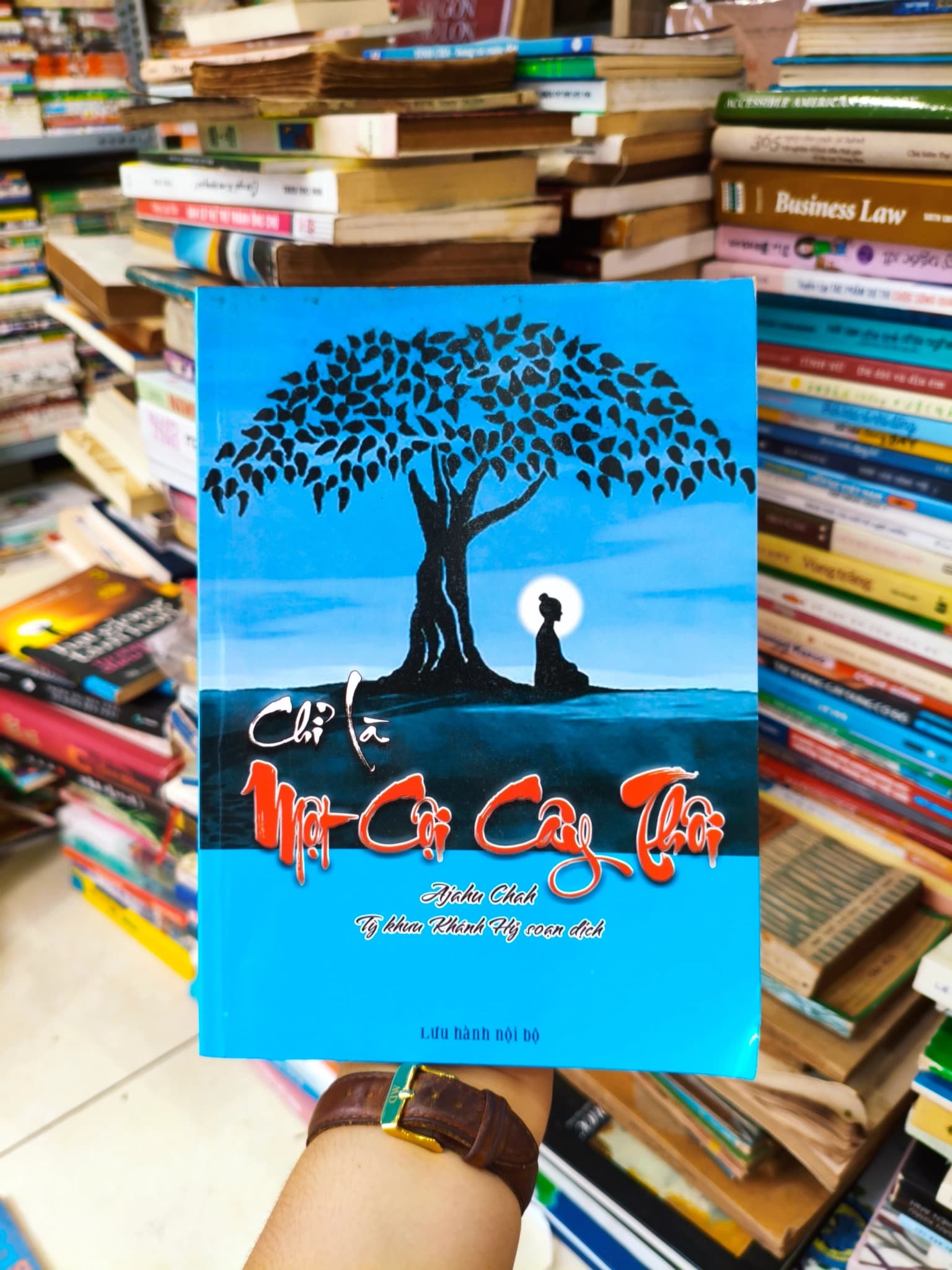 Chỉ là một cội cây thôi - Image 1