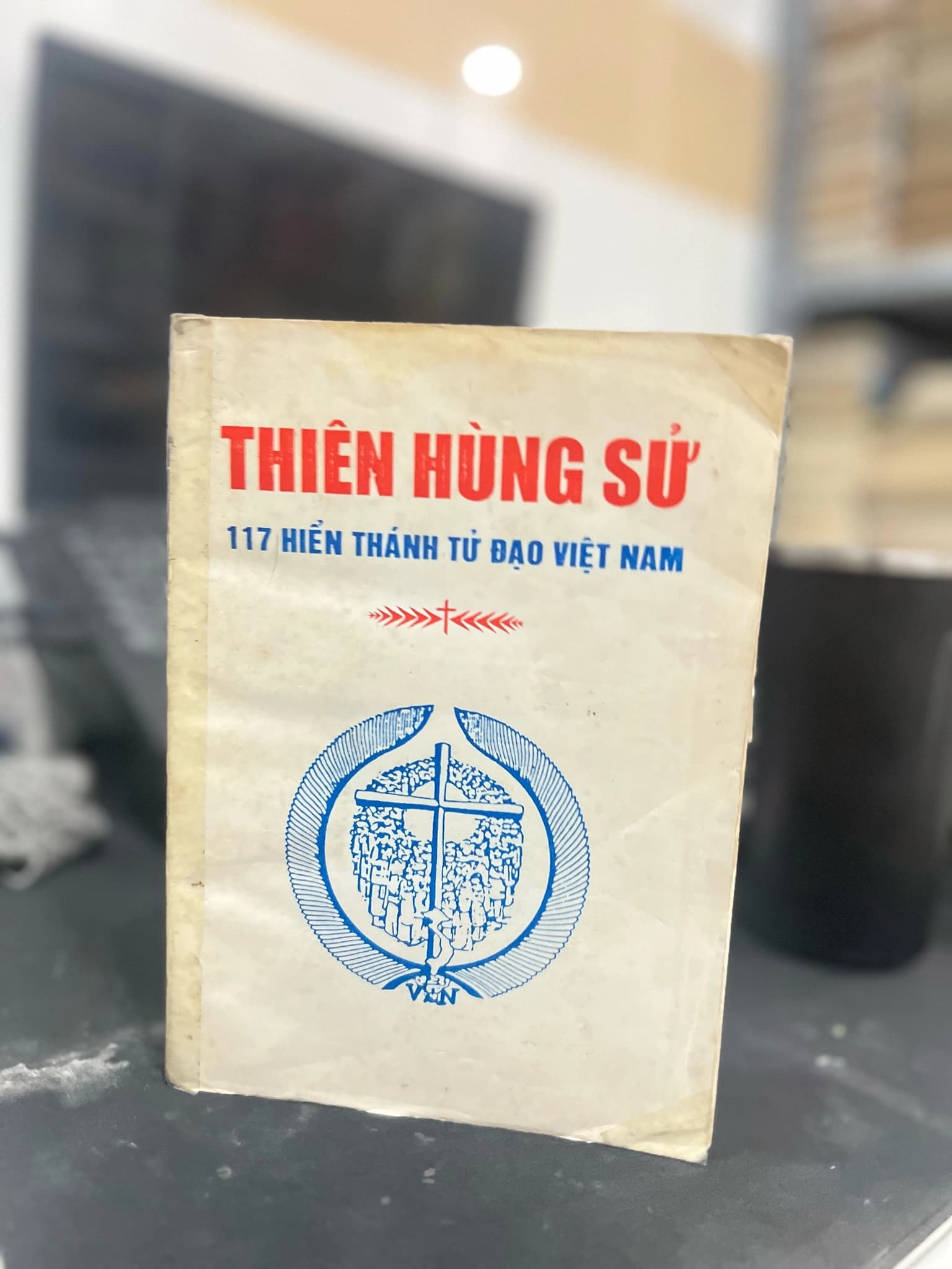 Thiên Hùng Sử - 117 Hiển thánh tử đạo Việt Nam - Image 1