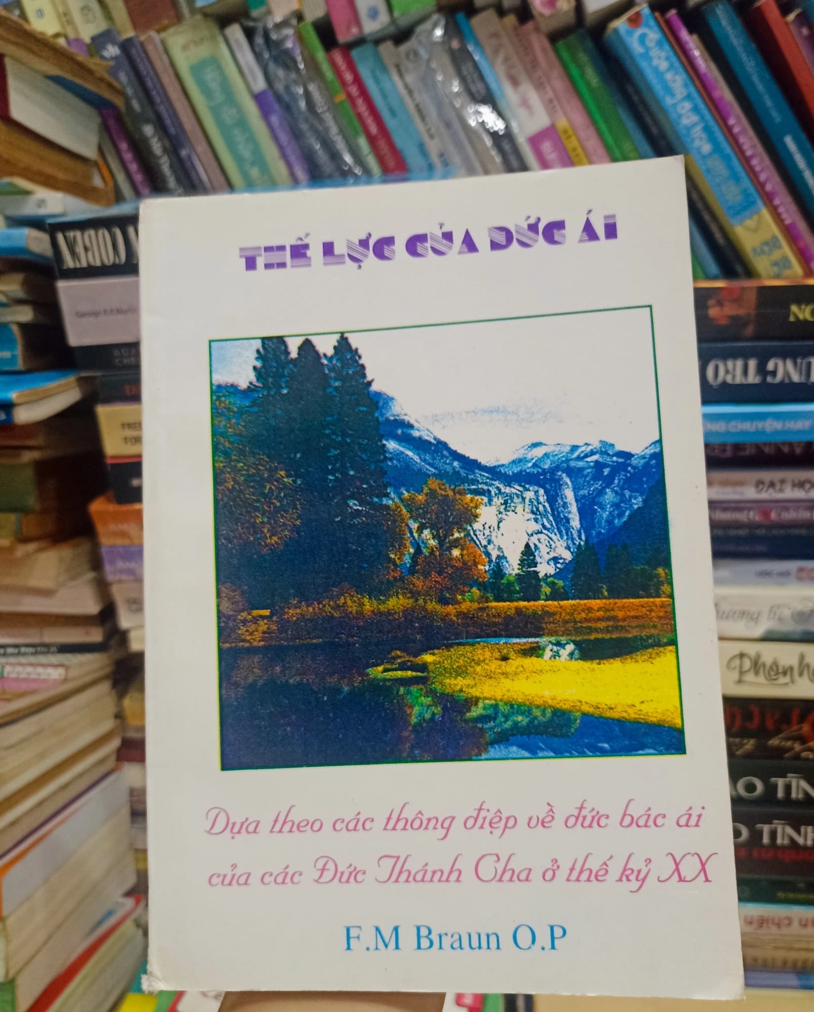 Thế lực của Đức Ái - Image 1