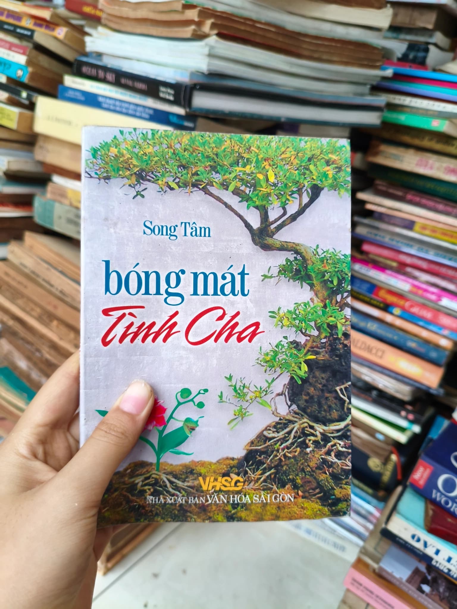 Bóng mát tình cha - Image 1
