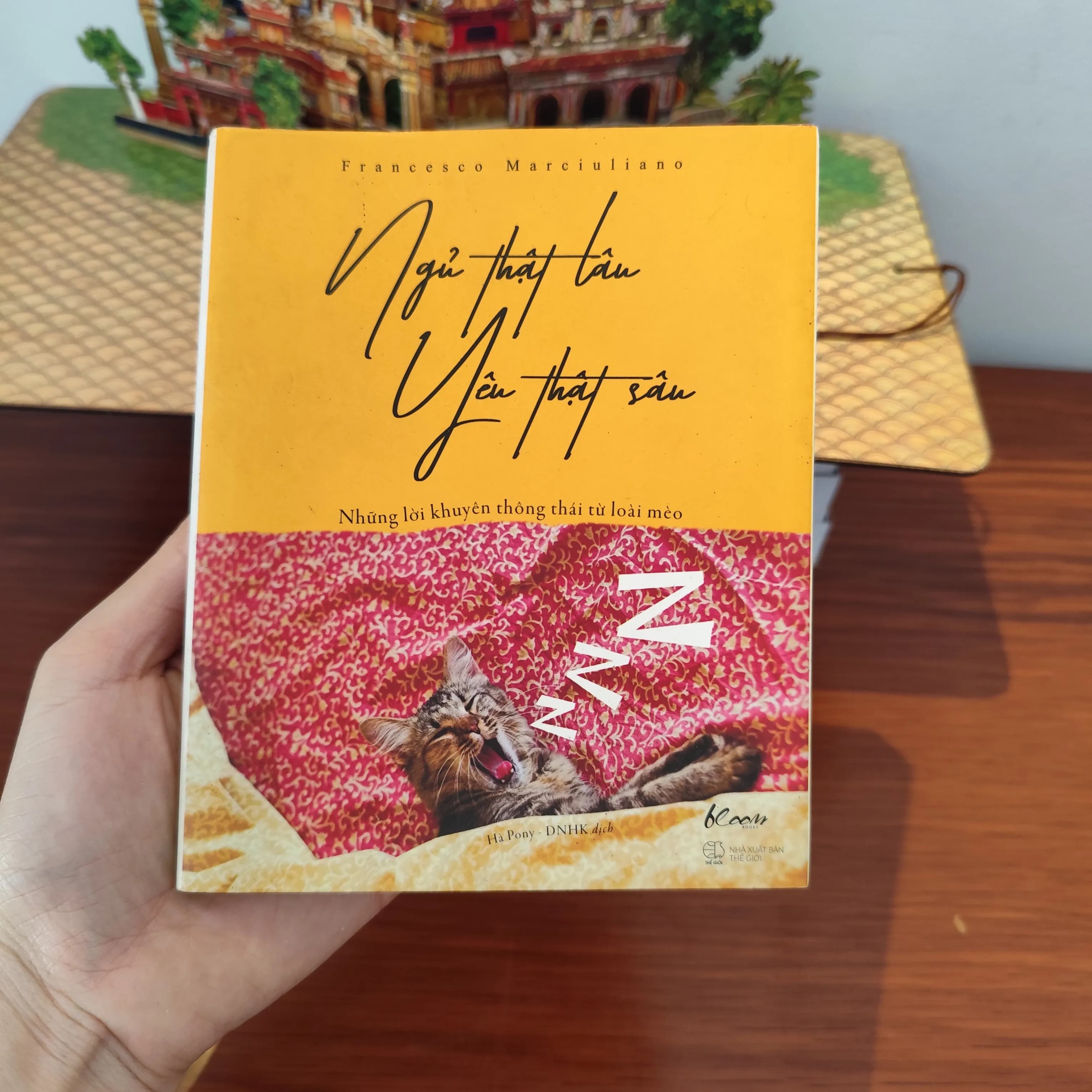 Ngủ thật lâu yêu thật sâu - Image 1