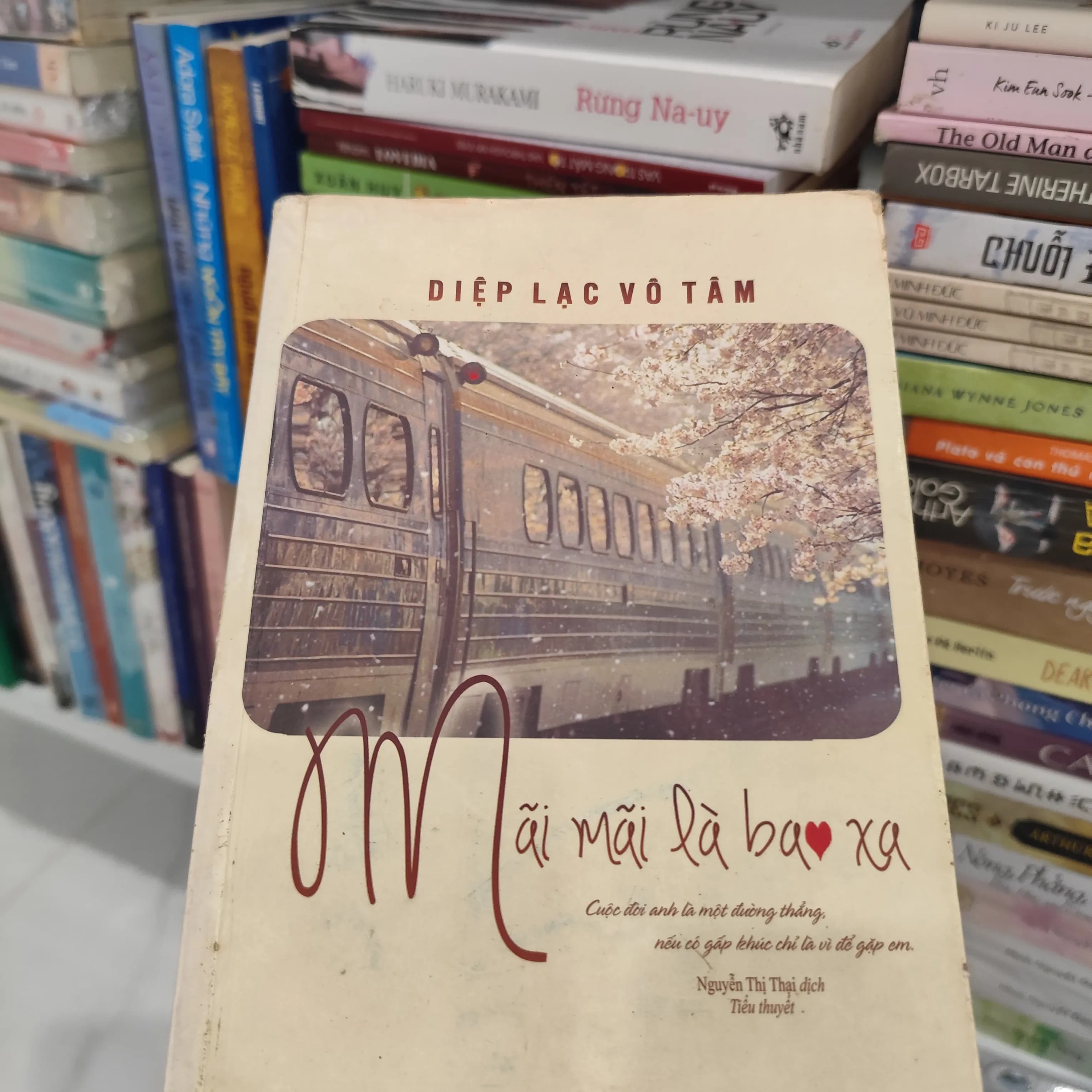 Mãi mãi là bao xa - Diệp Lạc Vô Tâm - Image 1