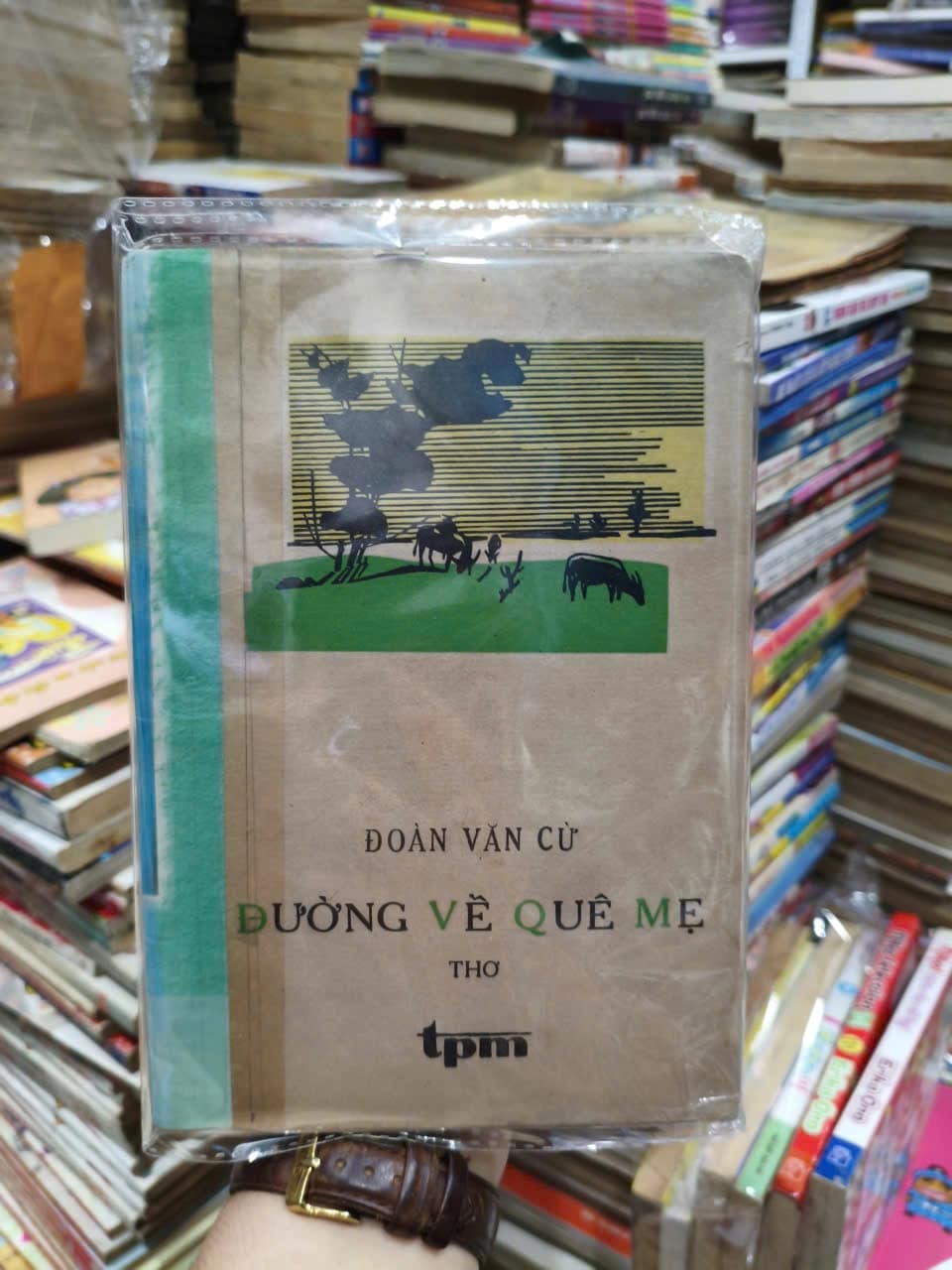 Đường Về Quê Mẹ - Image 1