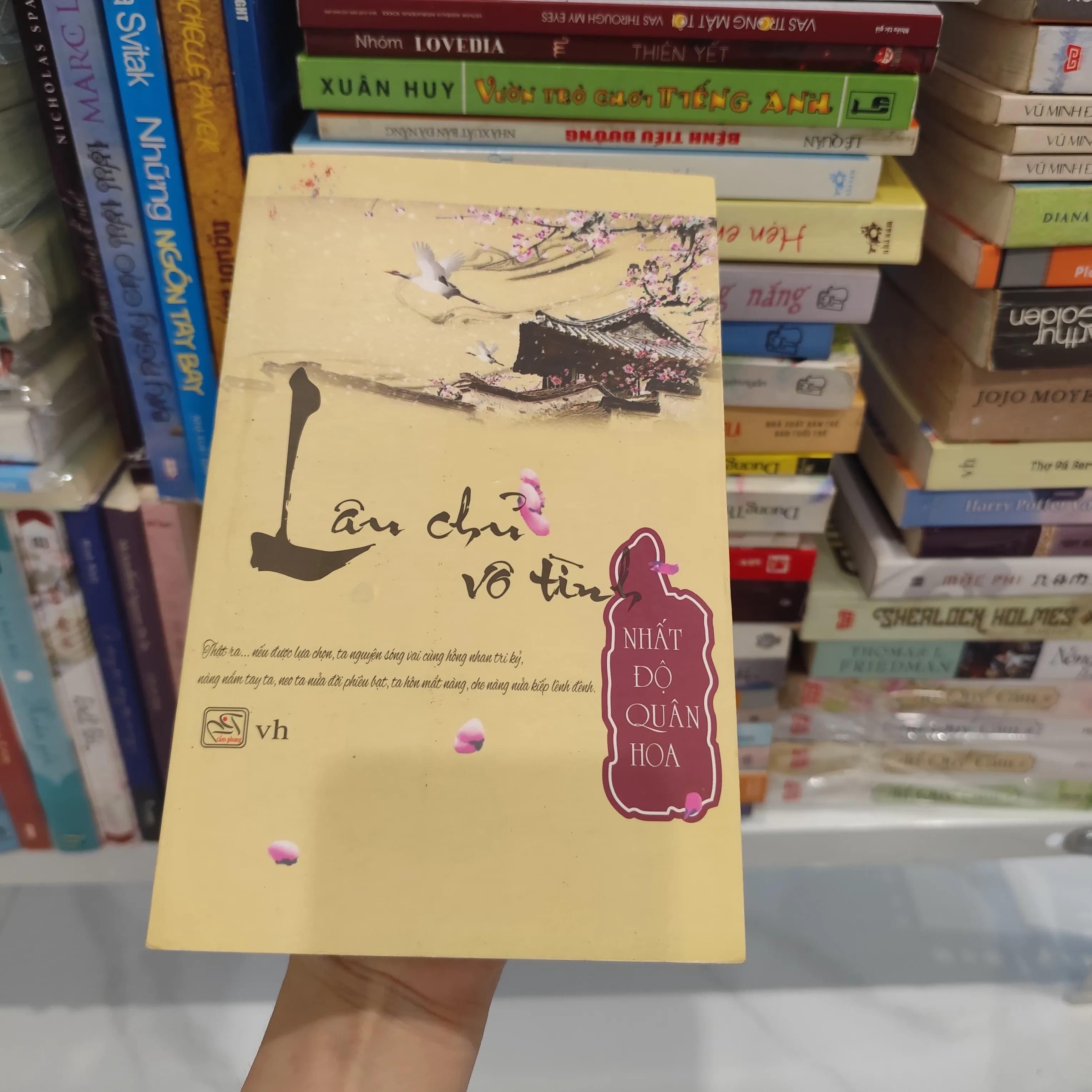 Lâu chủ vô tình - Image 1