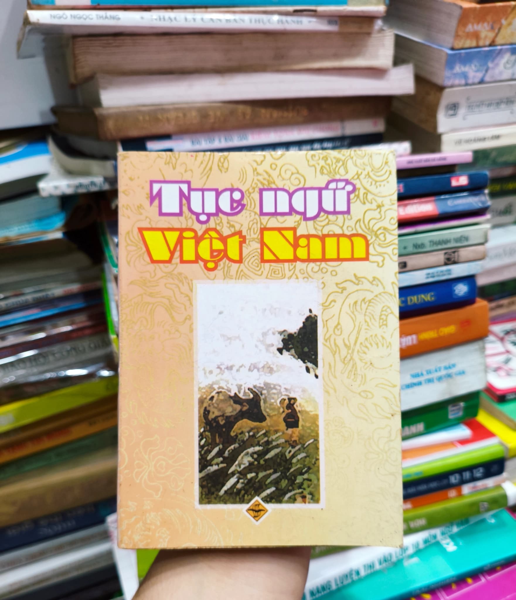Tục ngữ Việt Nam mini - Image 1