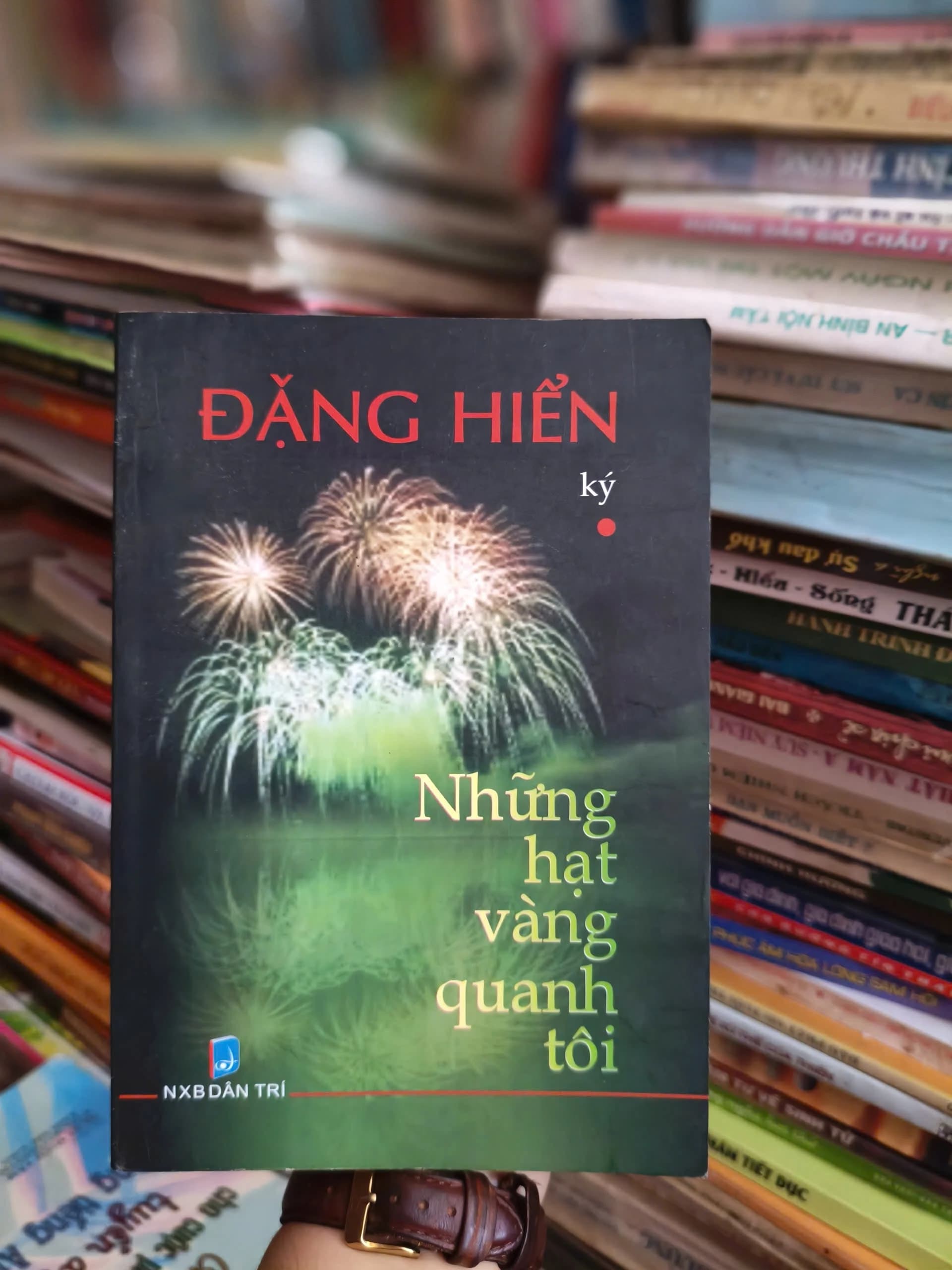 Những hạt vàng quanh tôi - Đặng Hiển - Image 1