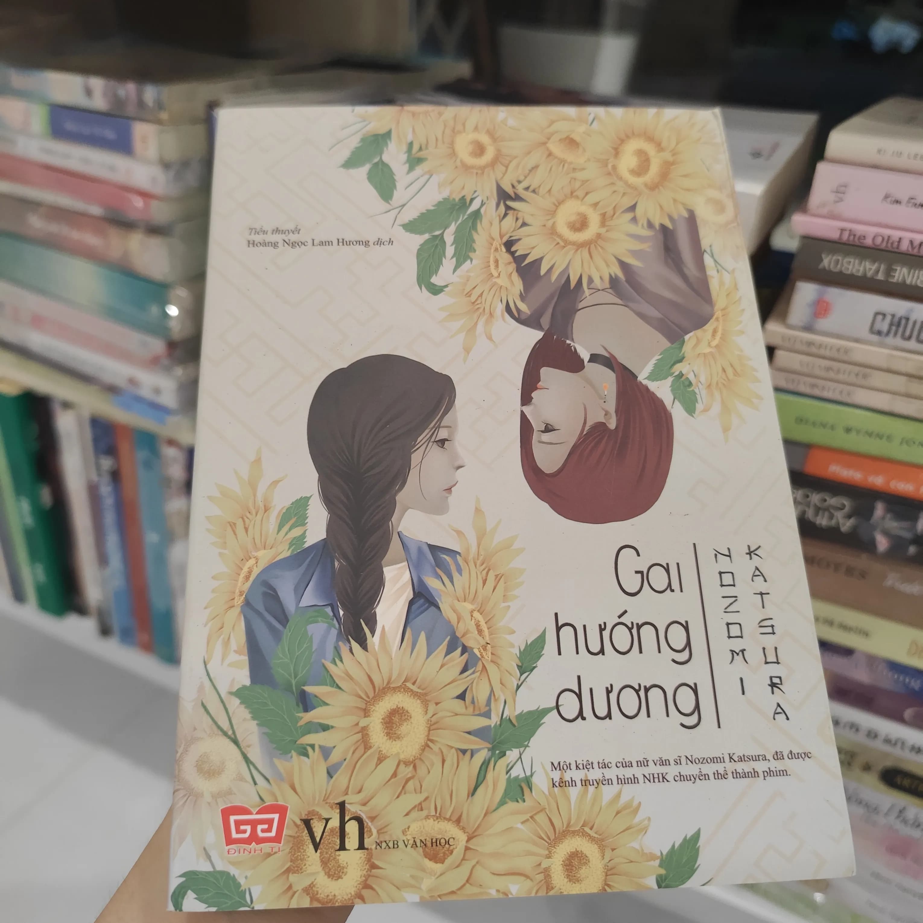 Gai Hướng Dương - Image 1