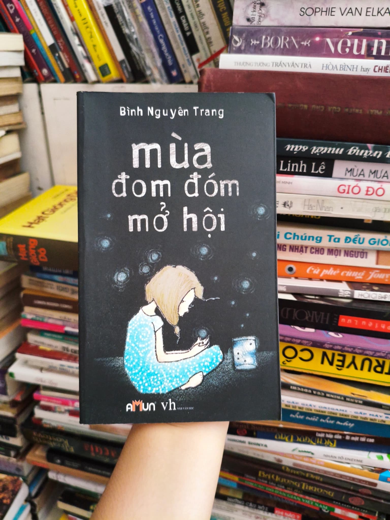 Mùa đom đóm mở hội - Image 1