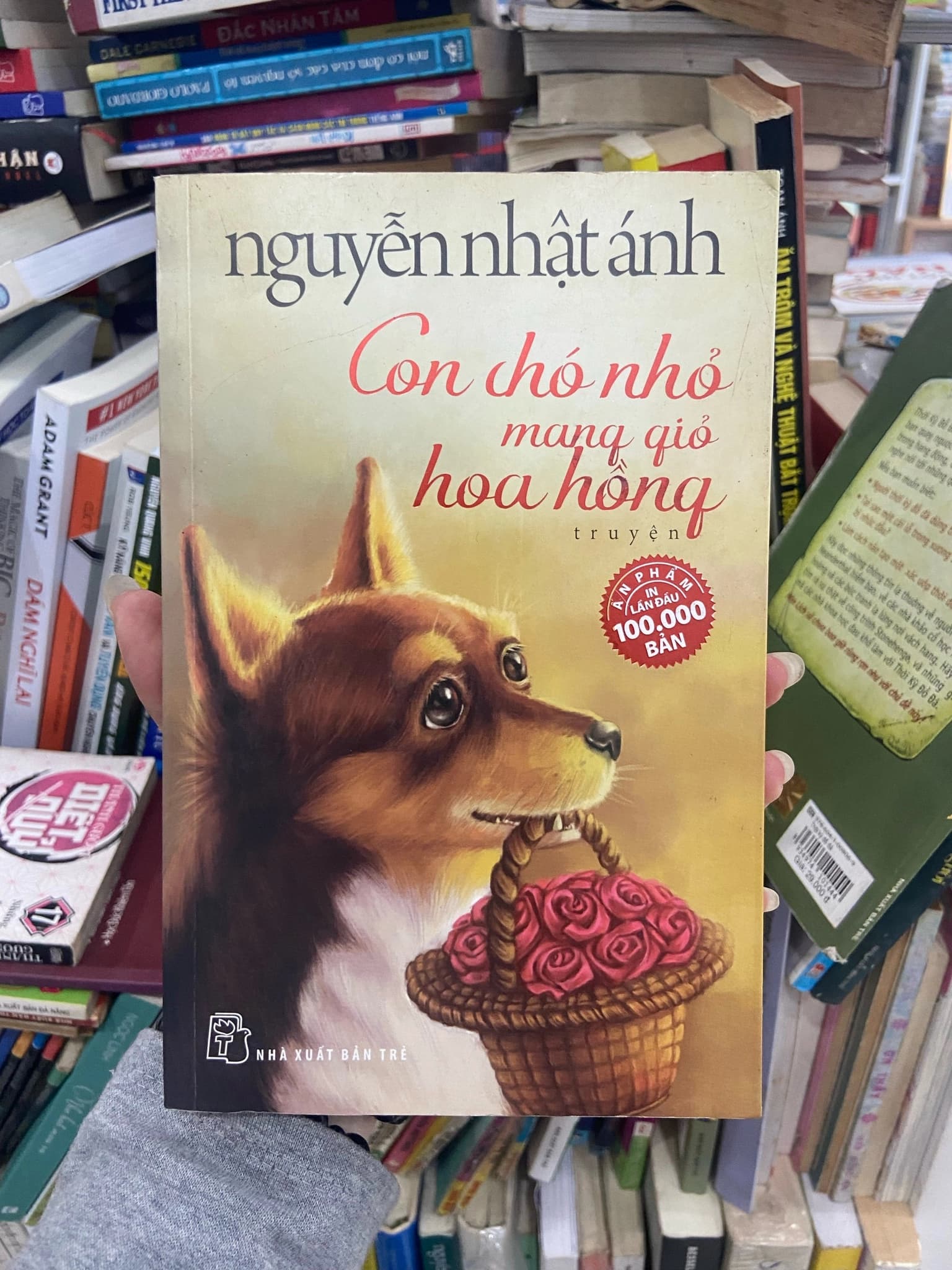 Con chó nhỏ mang giỏ hoa hồng - Image 1