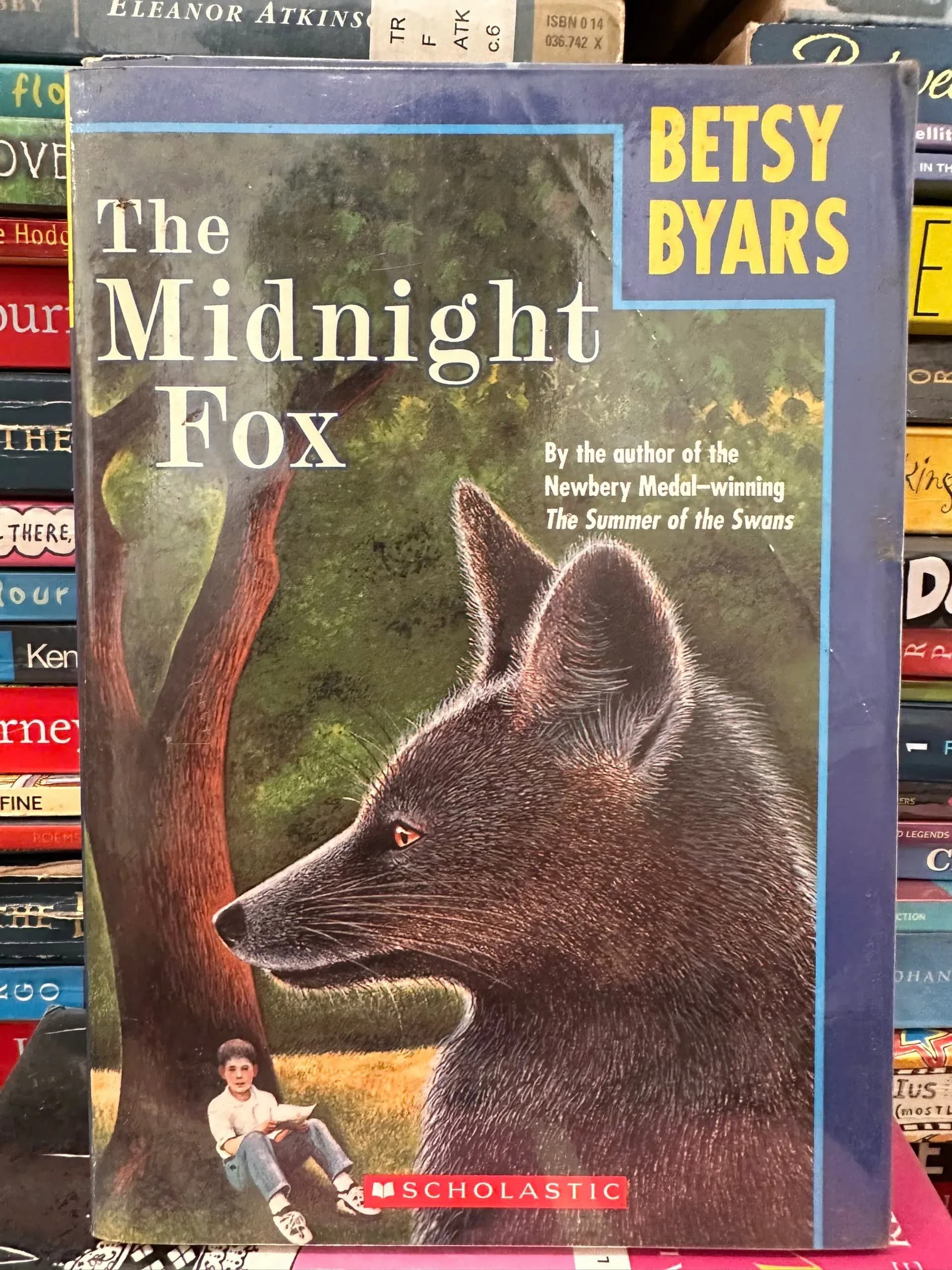 The Midnight Fox by Betsy Byars - Image 1