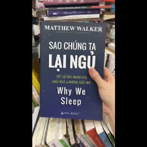 Tại sao chúng ta lại ngủ - Image 1