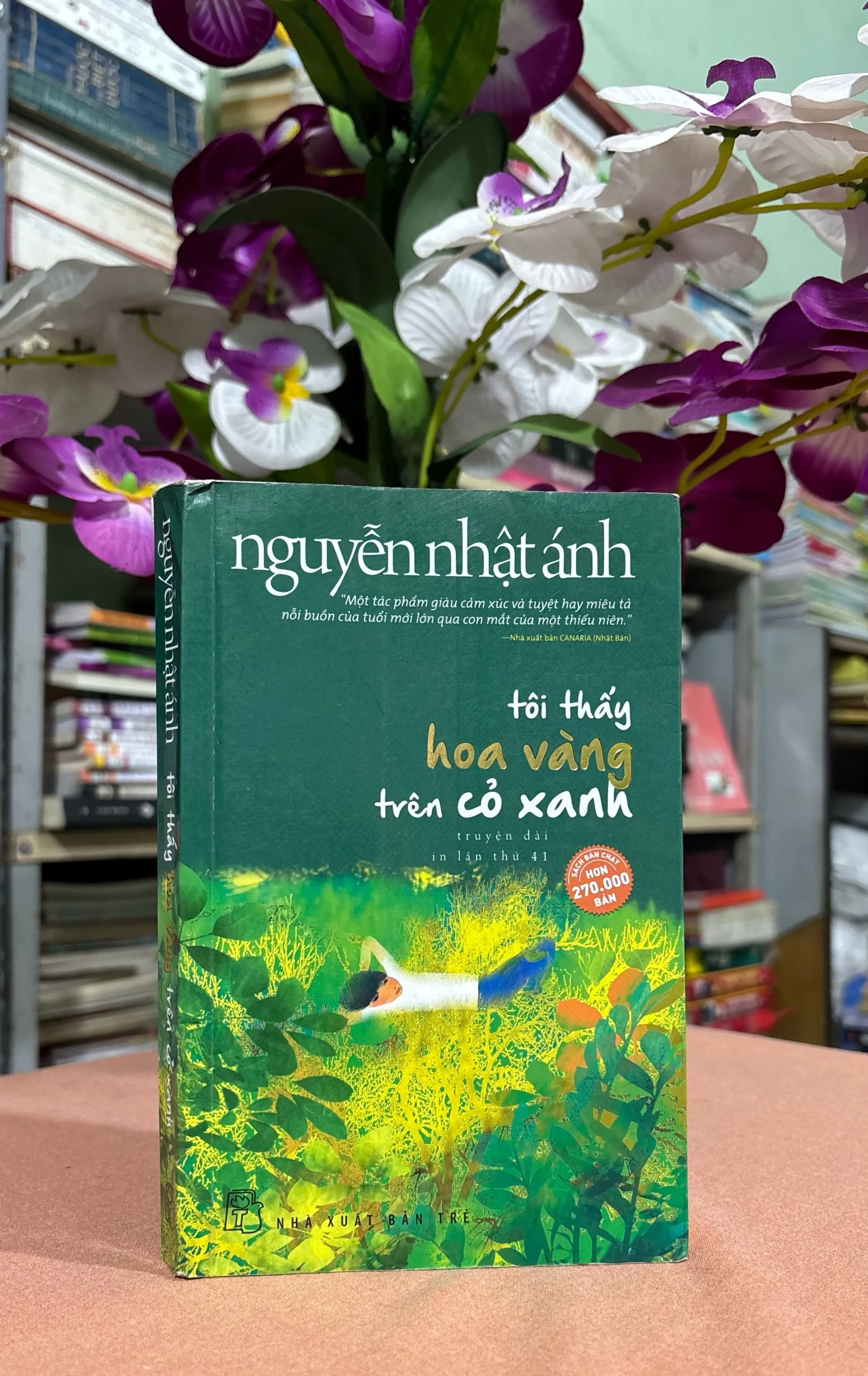 tôi thấy hoa vàng trên cỏ xanh - Image 1