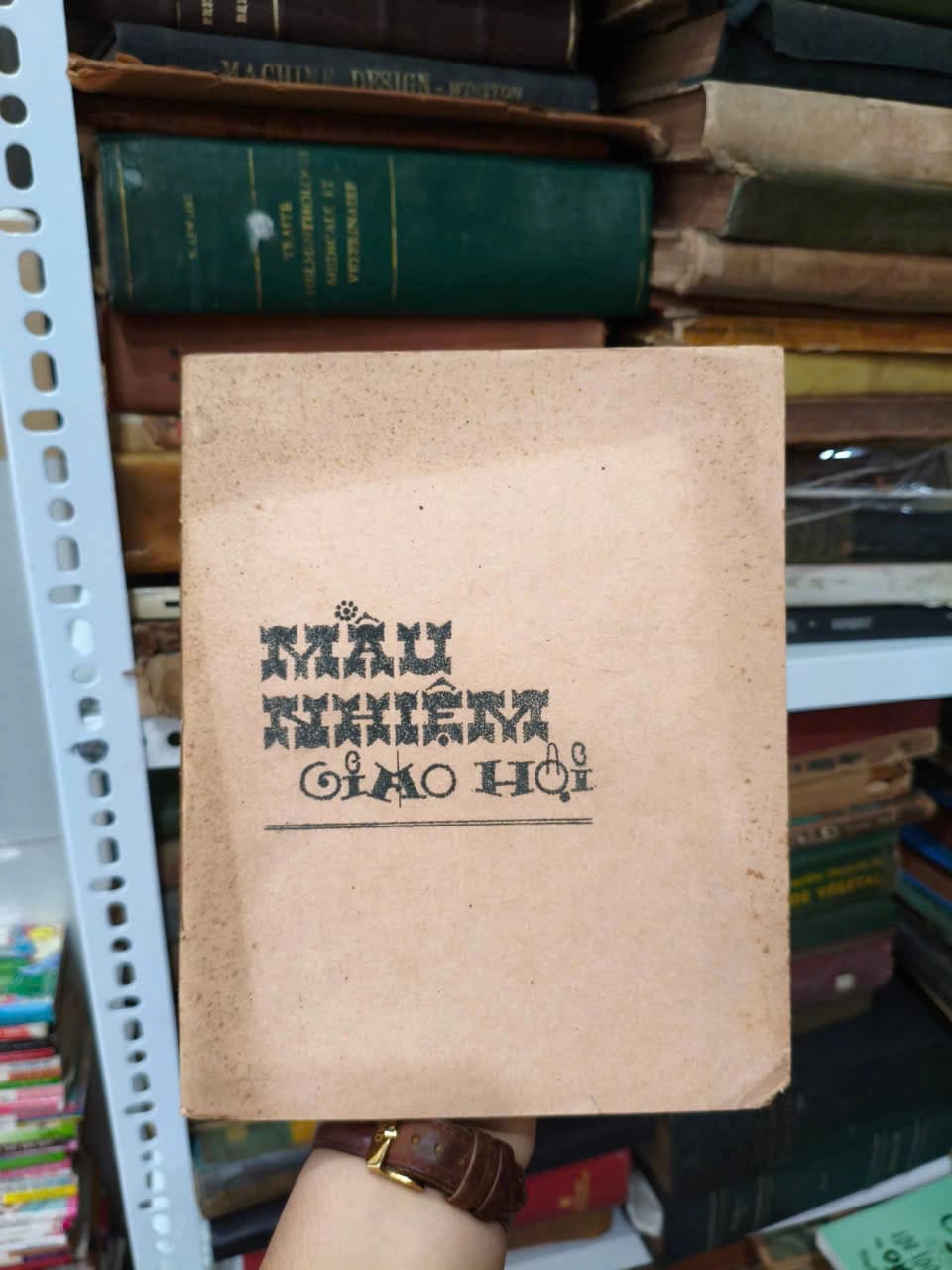 Mầu Nhiệm Giáo Hội - Image 1