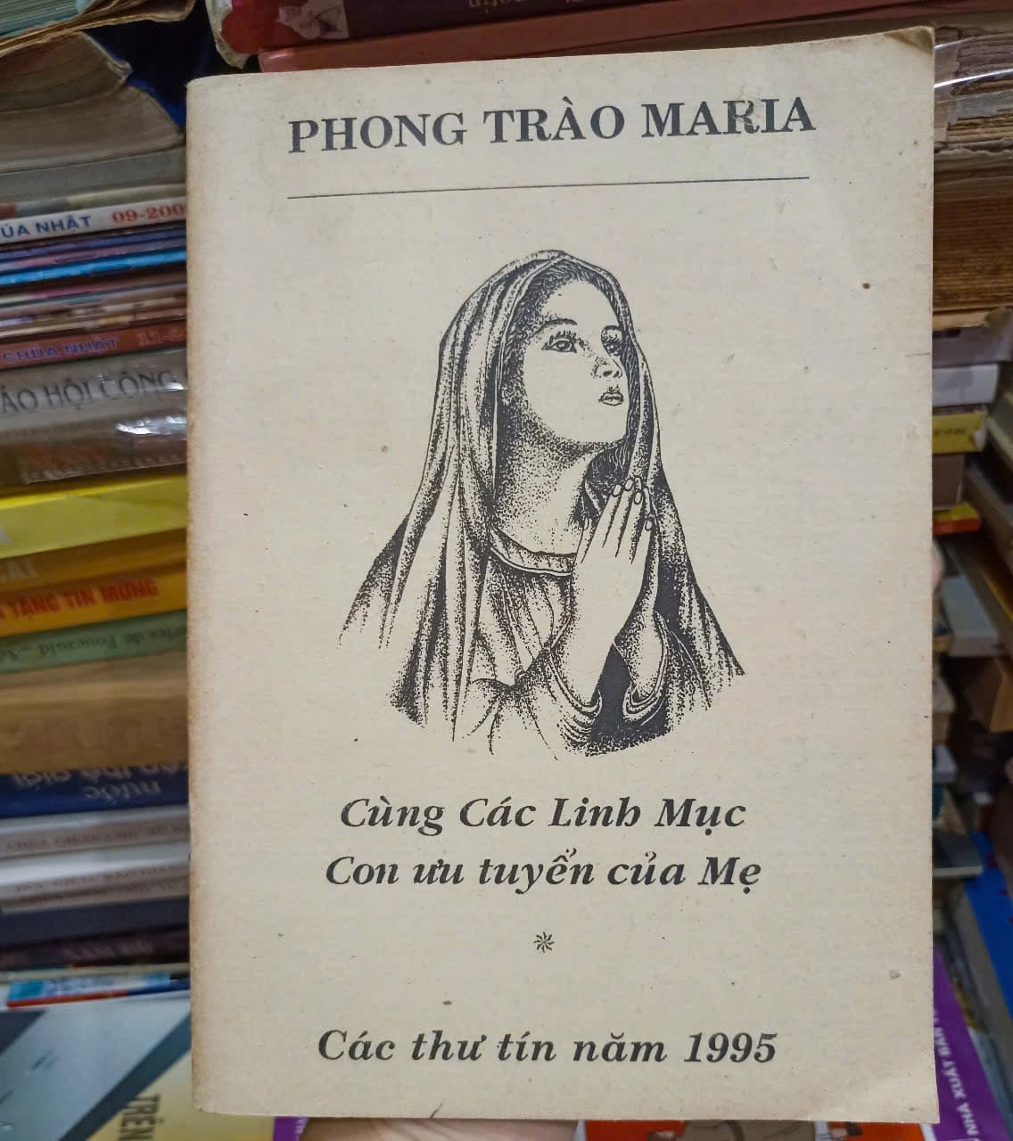 Cùng các linh mục con ưu tuyển của mẹ - Image 1