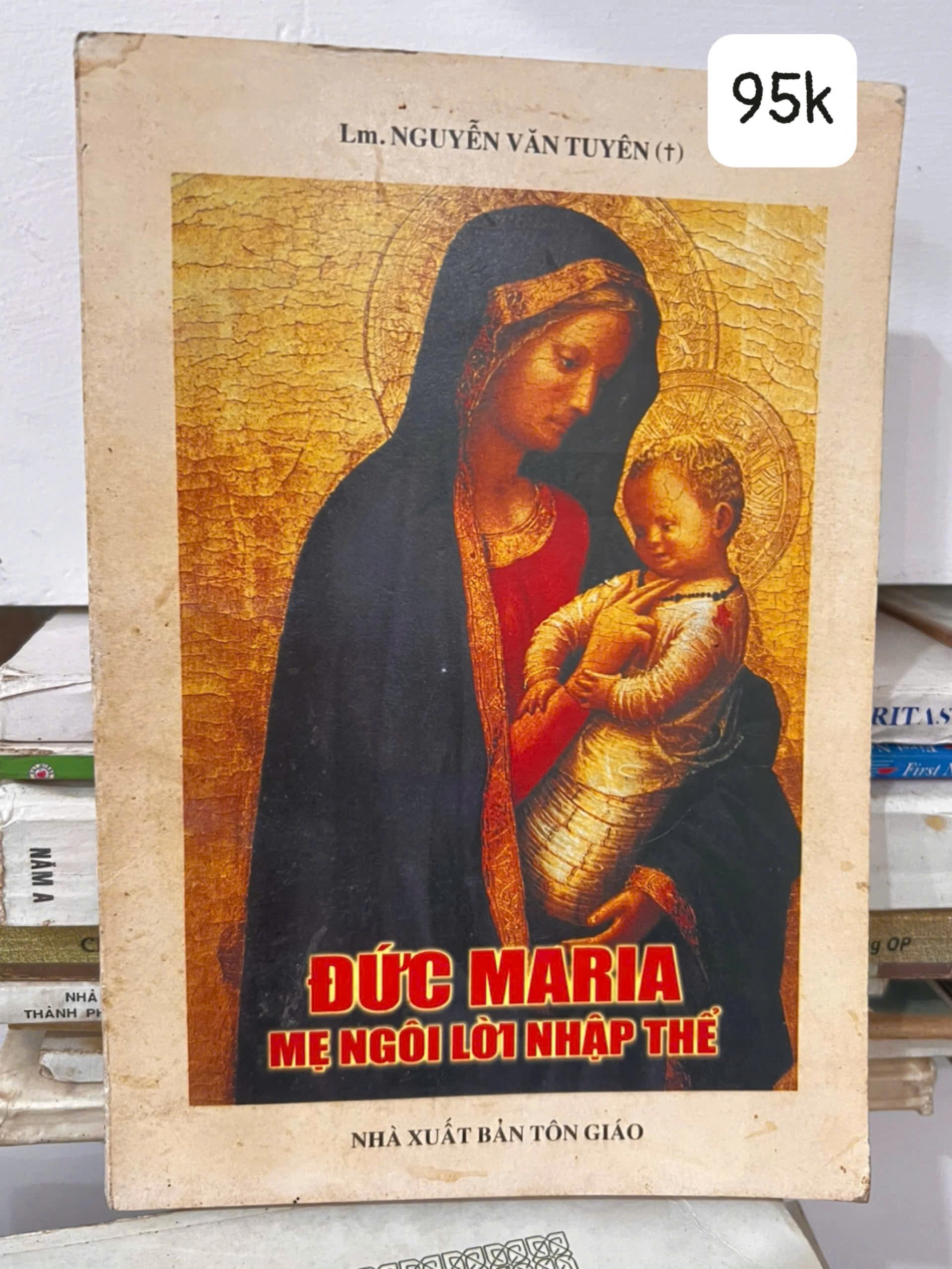 Đức Maria - Mẹ ngôi lời nhập thể - Image 1