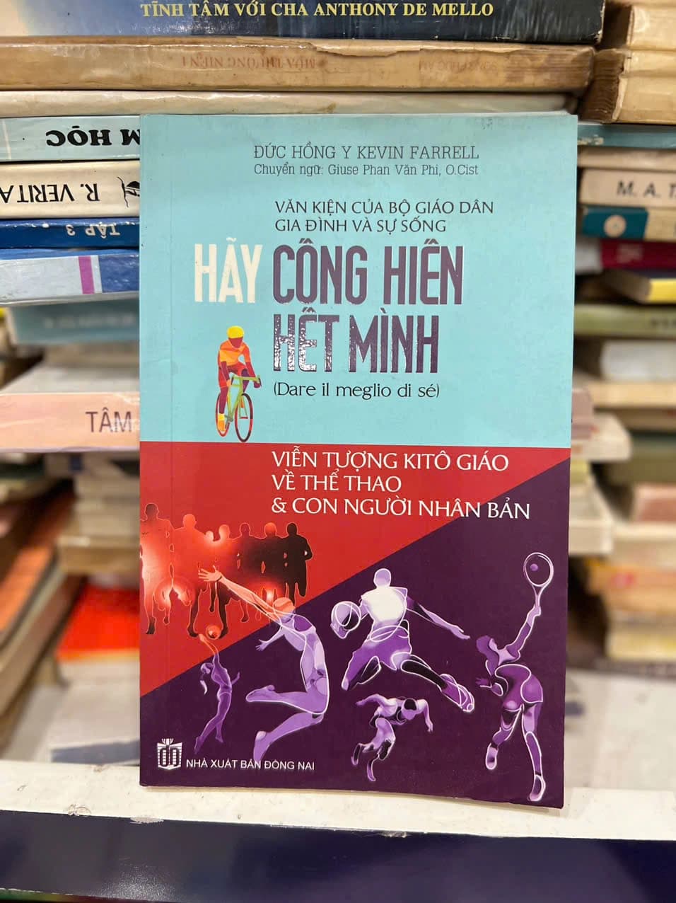 Hãy cống hiến hết mình - Viễn tượng Kitô giáo về thể thao và con người nhân bản - Image 1