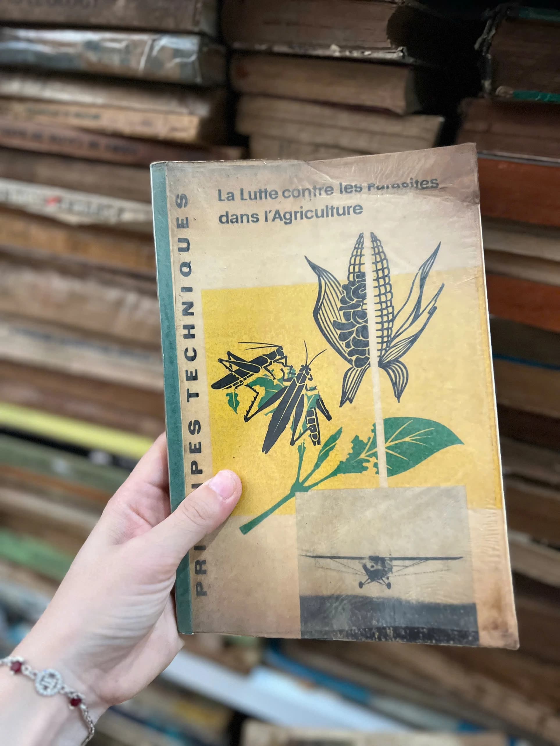 La Lutte contre les Paraoites dán I'Agriculture - Image 1