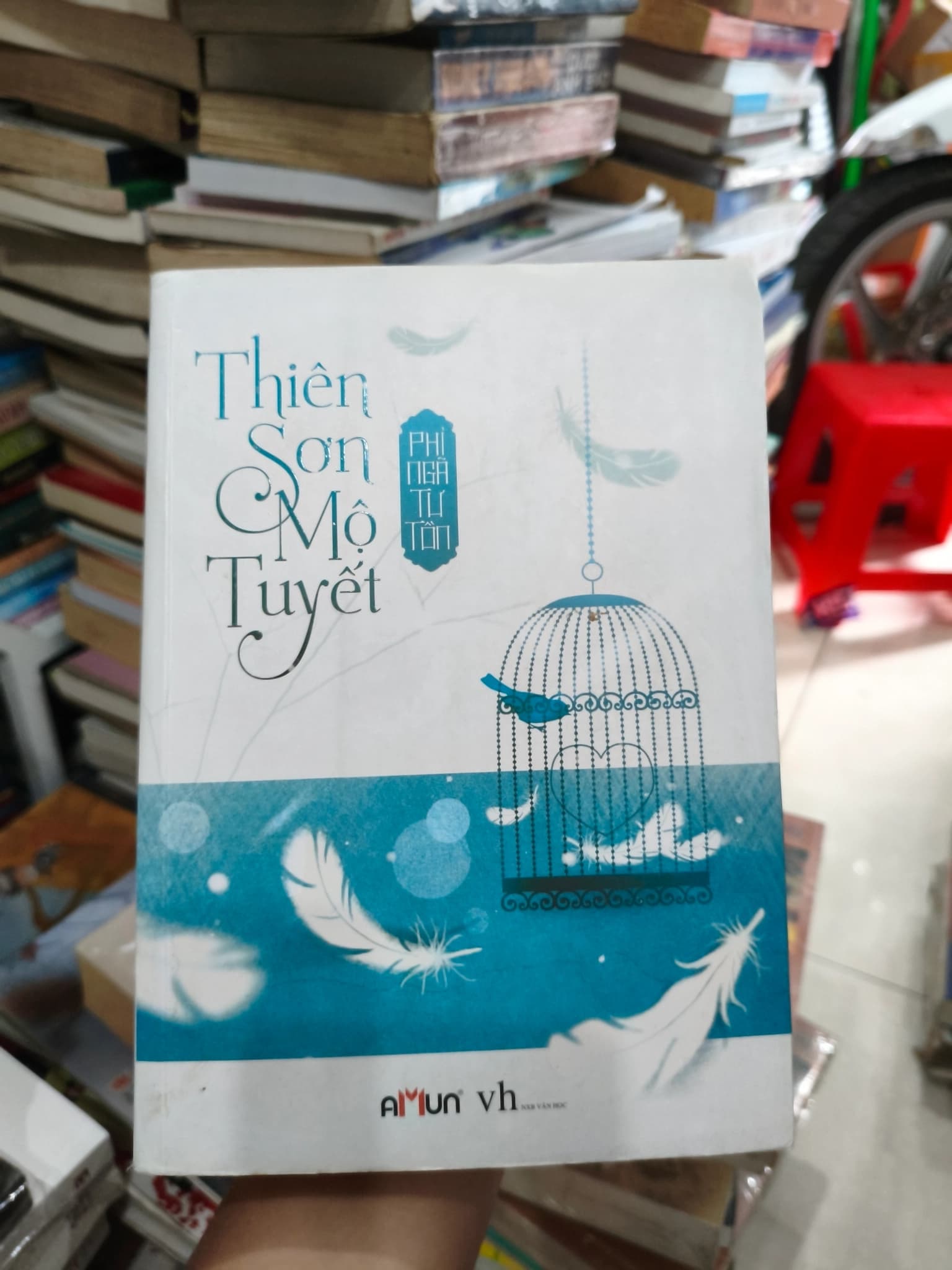 Thiên sơn tuyết mộ - Image 1