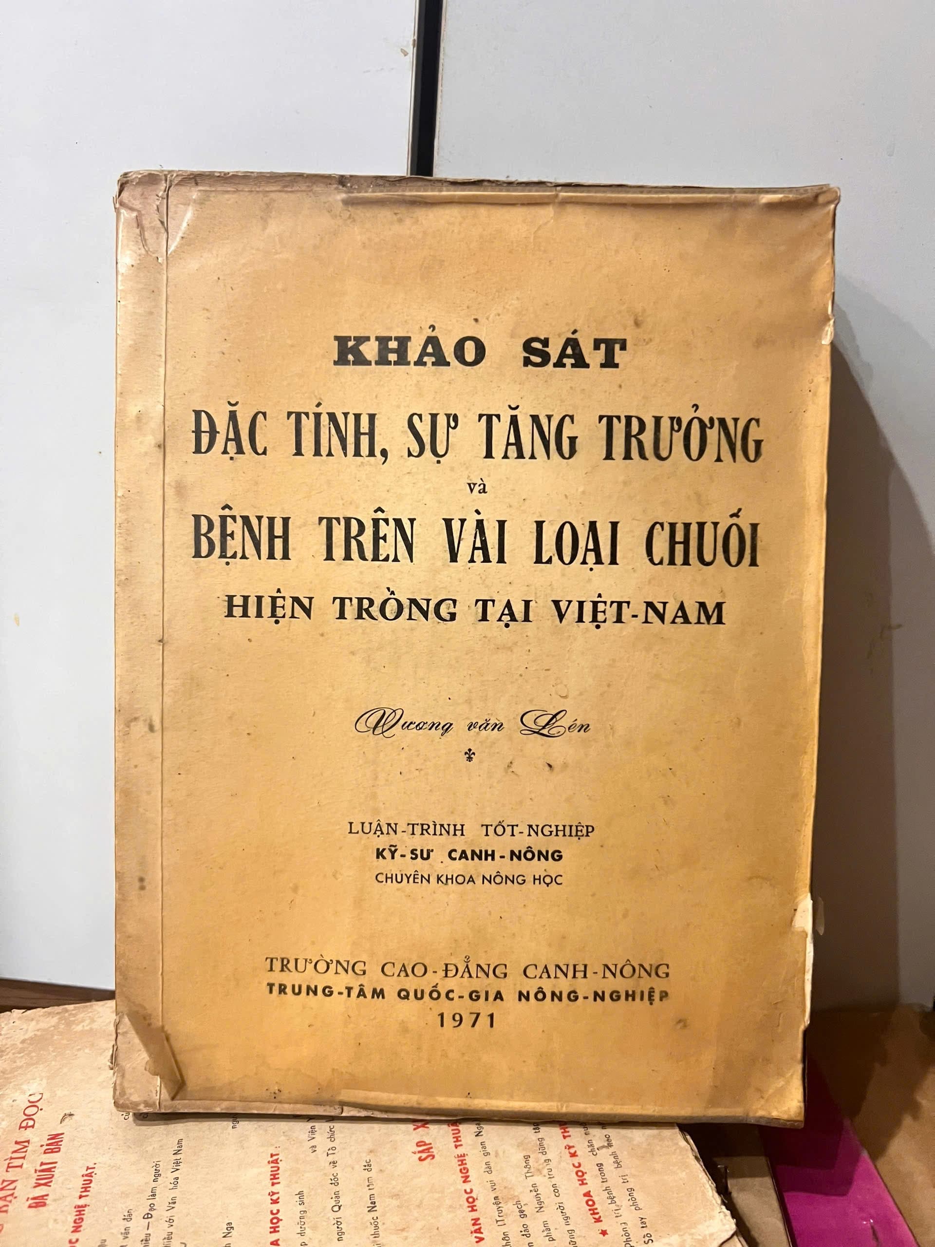 Khảo sát đặc tính, sự tăng trưởng và bệnh trên vài loại chuối hiện trồng tại Việt Nam - Image 1
