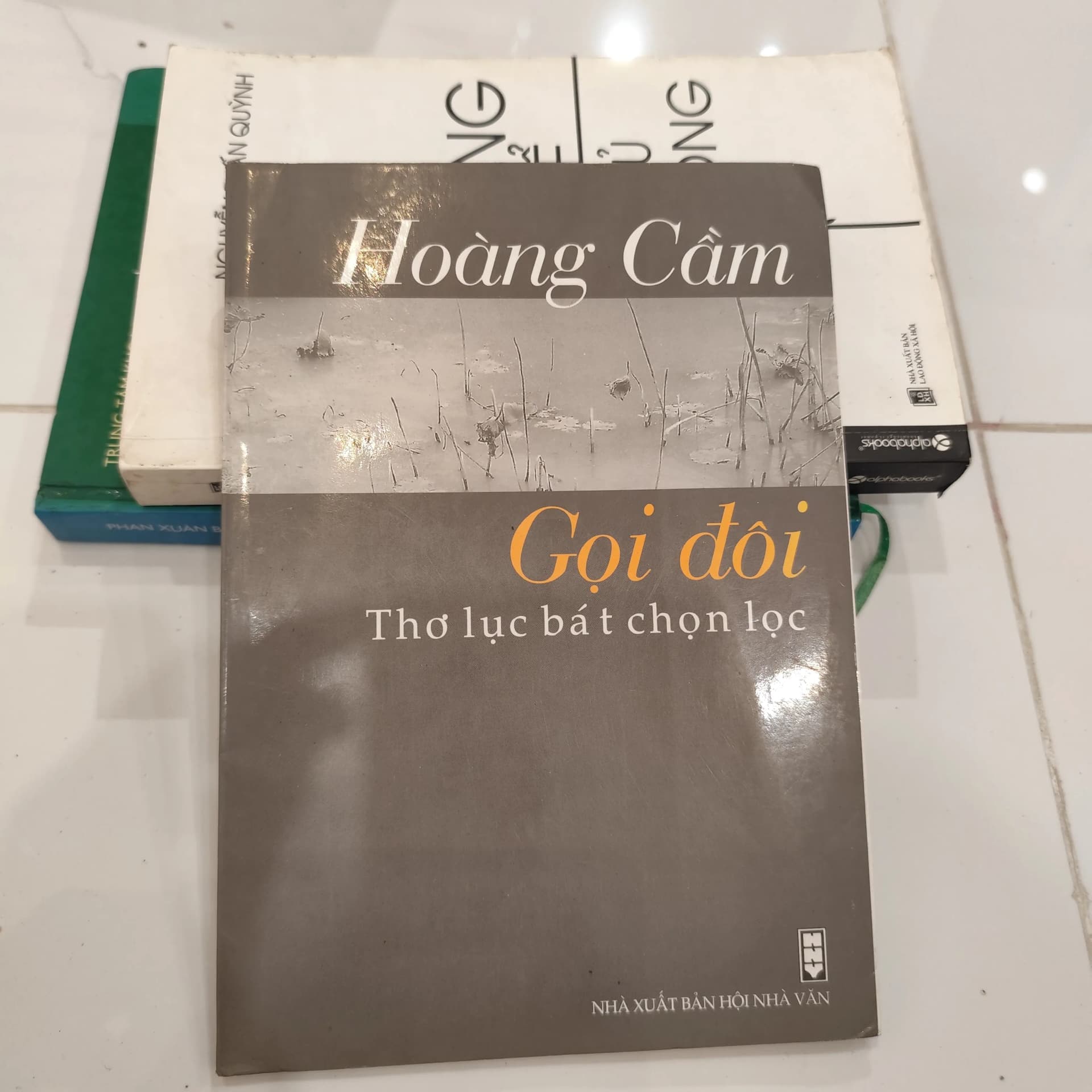 Gọi đôi thơ lục bát chọn lọc - Hoàng Cầm - Image 1