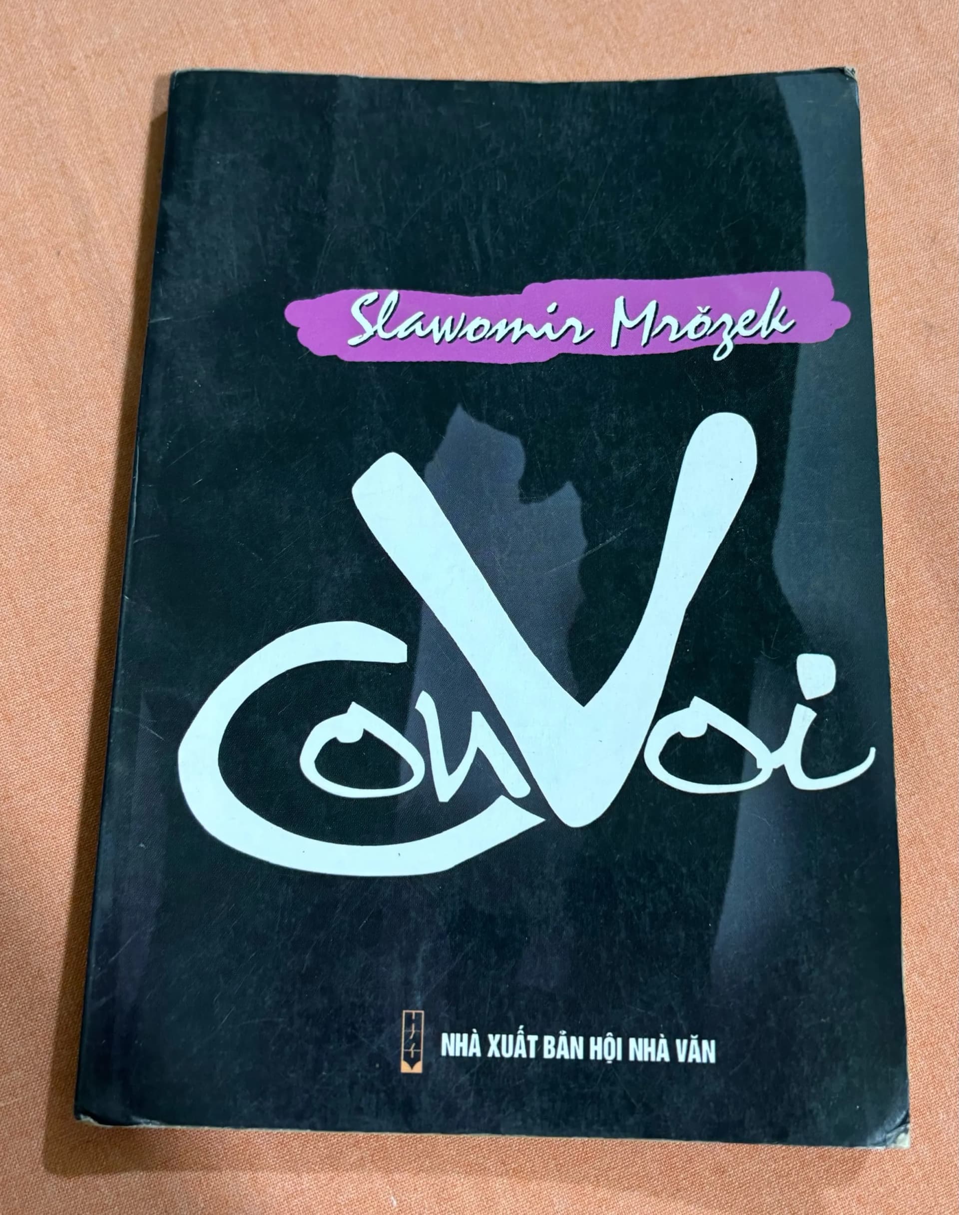 Con Voi - Image 1