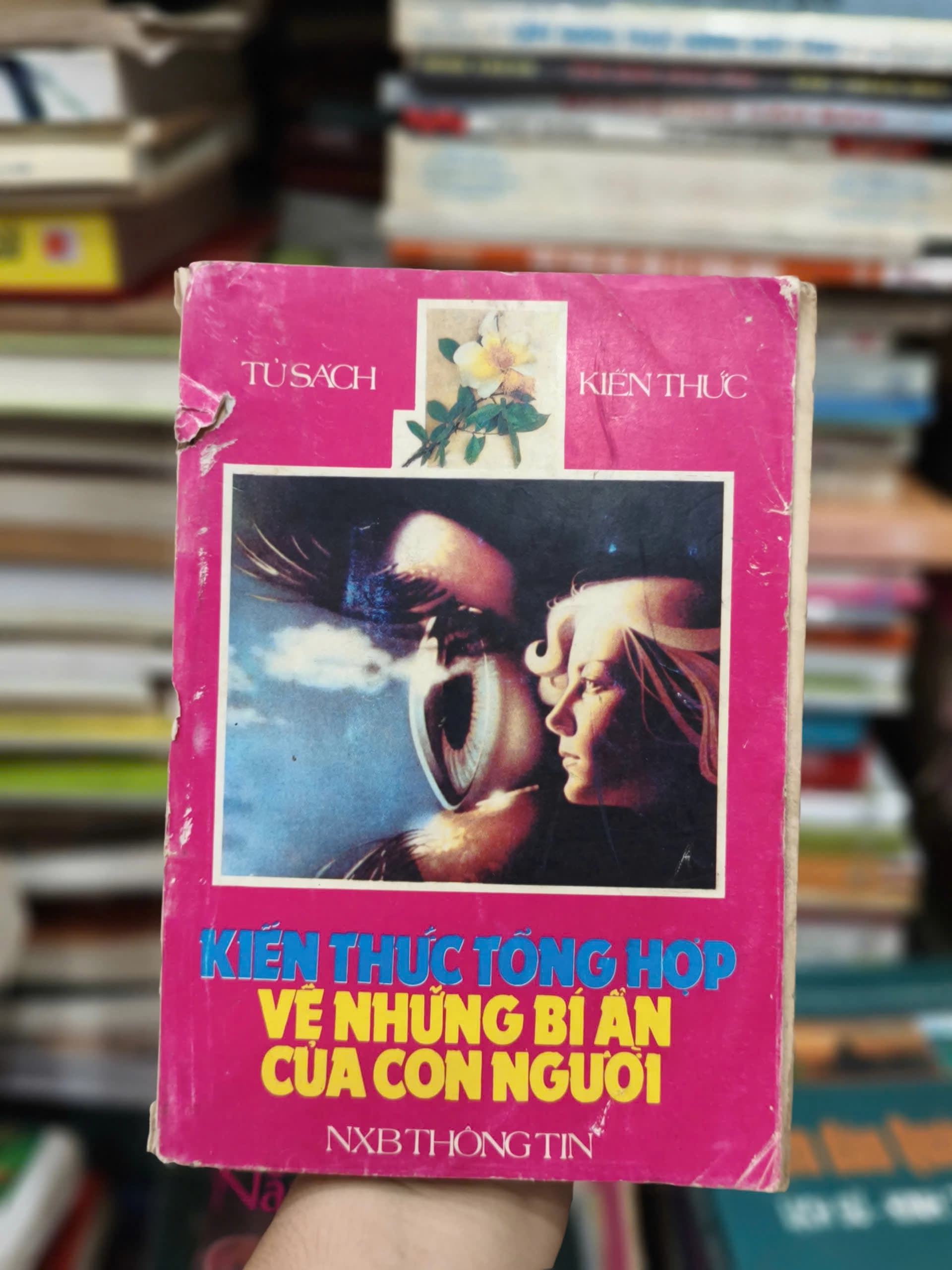 Kiến Thức Tổng Hợp Về Những Bí Ẩn Của Con Người - Image 1