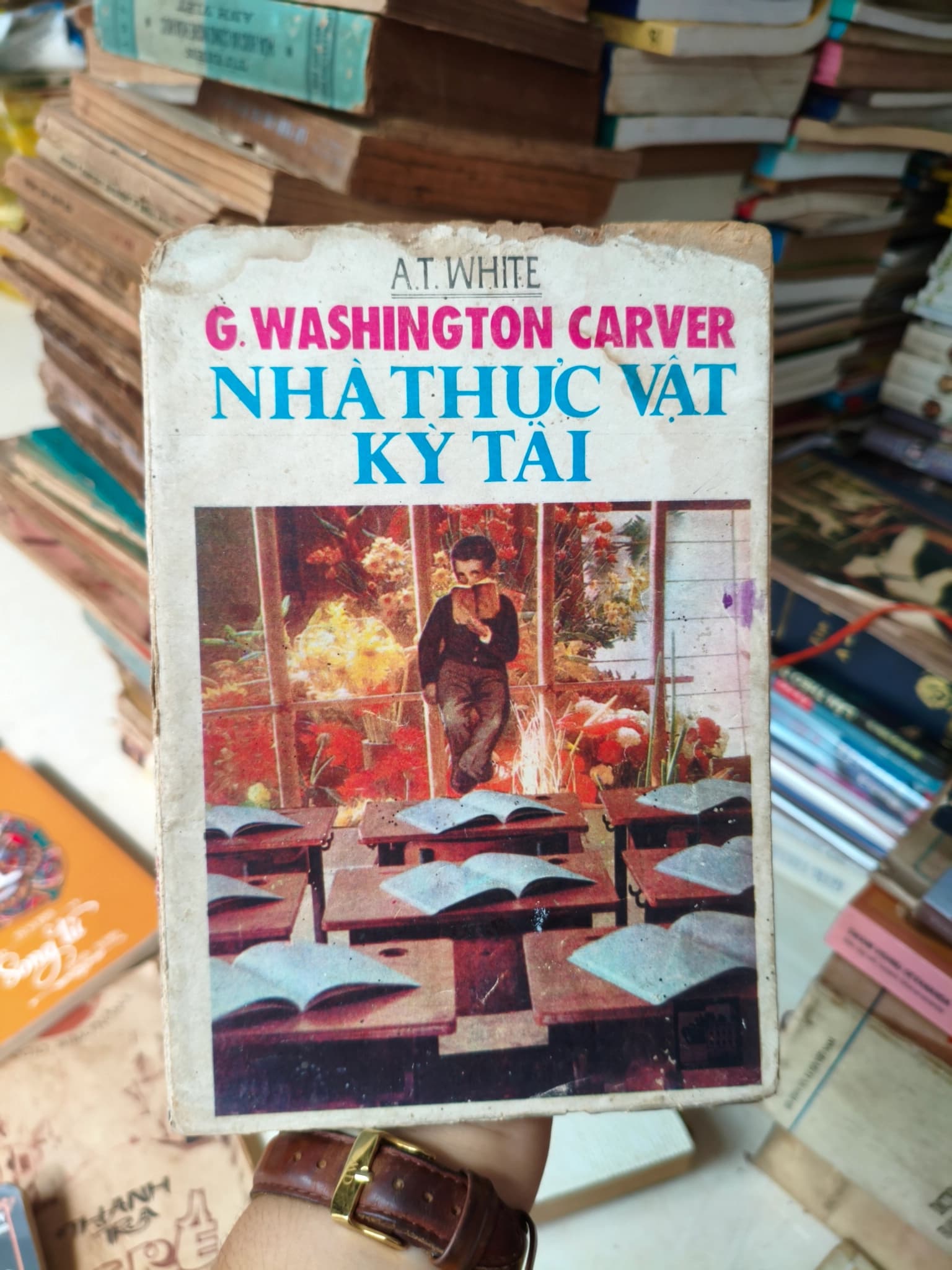 Nhà thực vật kì tài - Image 1