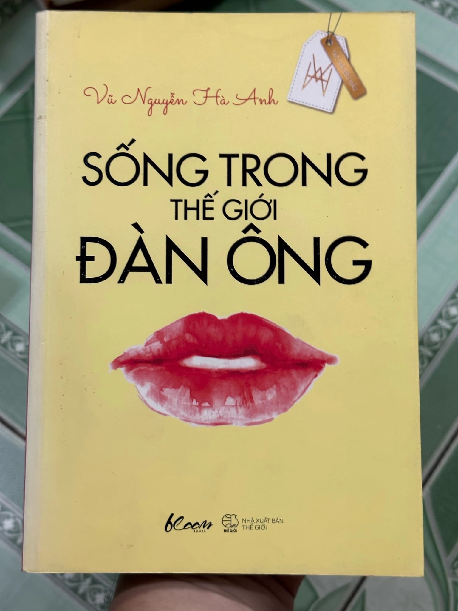 Sống trong thế giới đàn ông - Vũ Nguyễn Hà Anh - Image 1