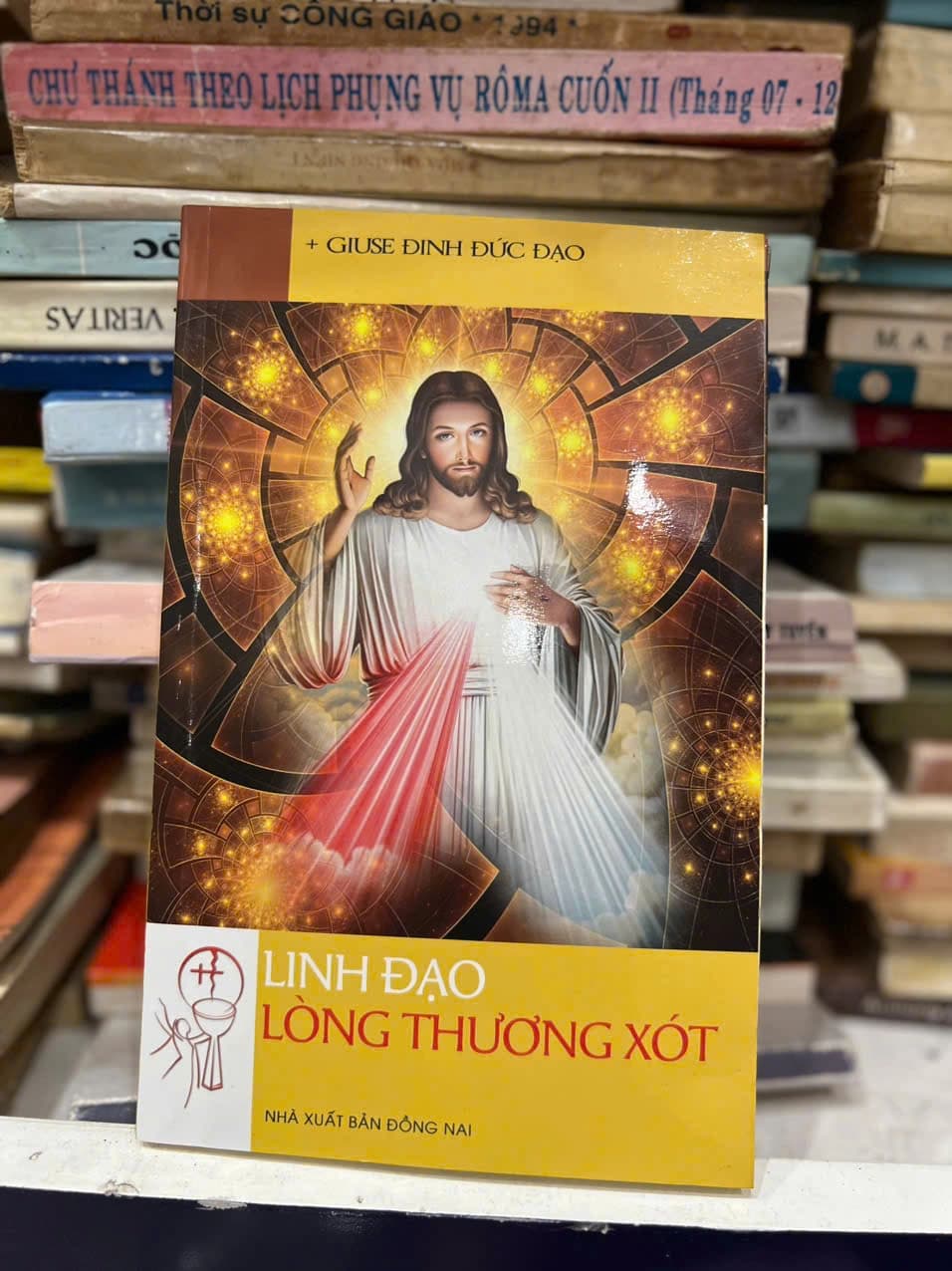 Linh đạo lòng thương xót - Image 1