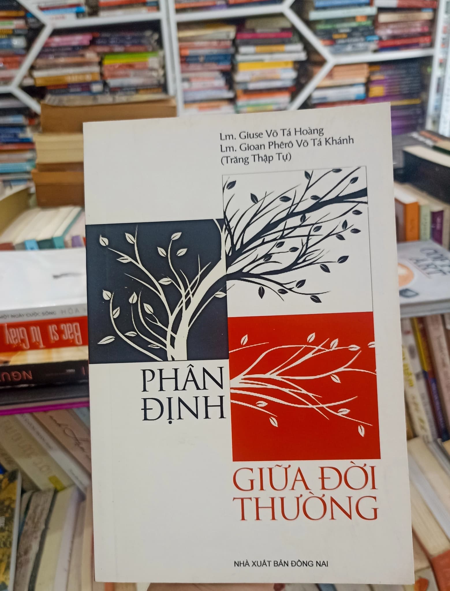 Phân Định Giữa Đời Thường - Image 1