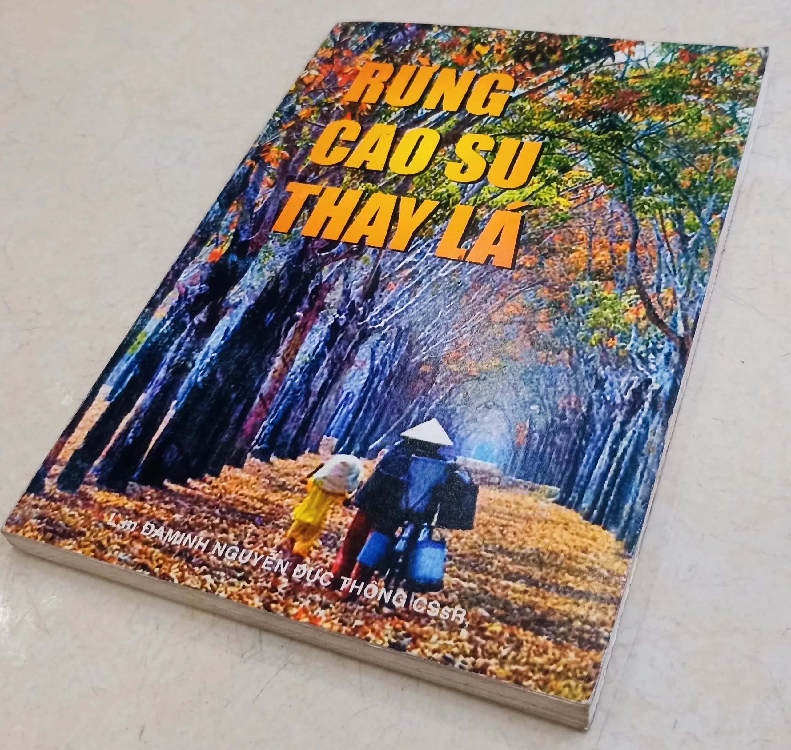 Rừng cao su thay lá - Image 1