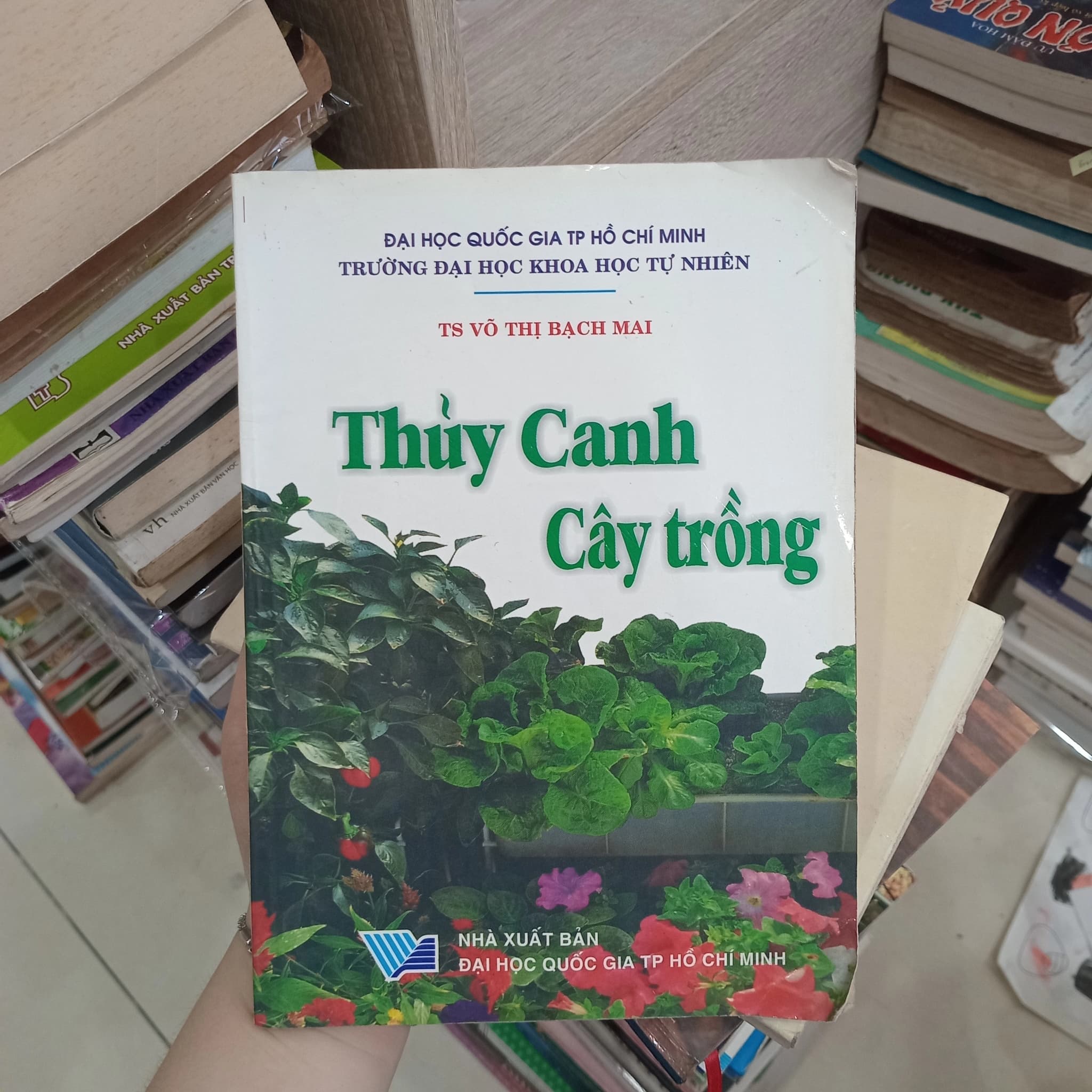 Thủy Canh Cây Trồng - Image 1
