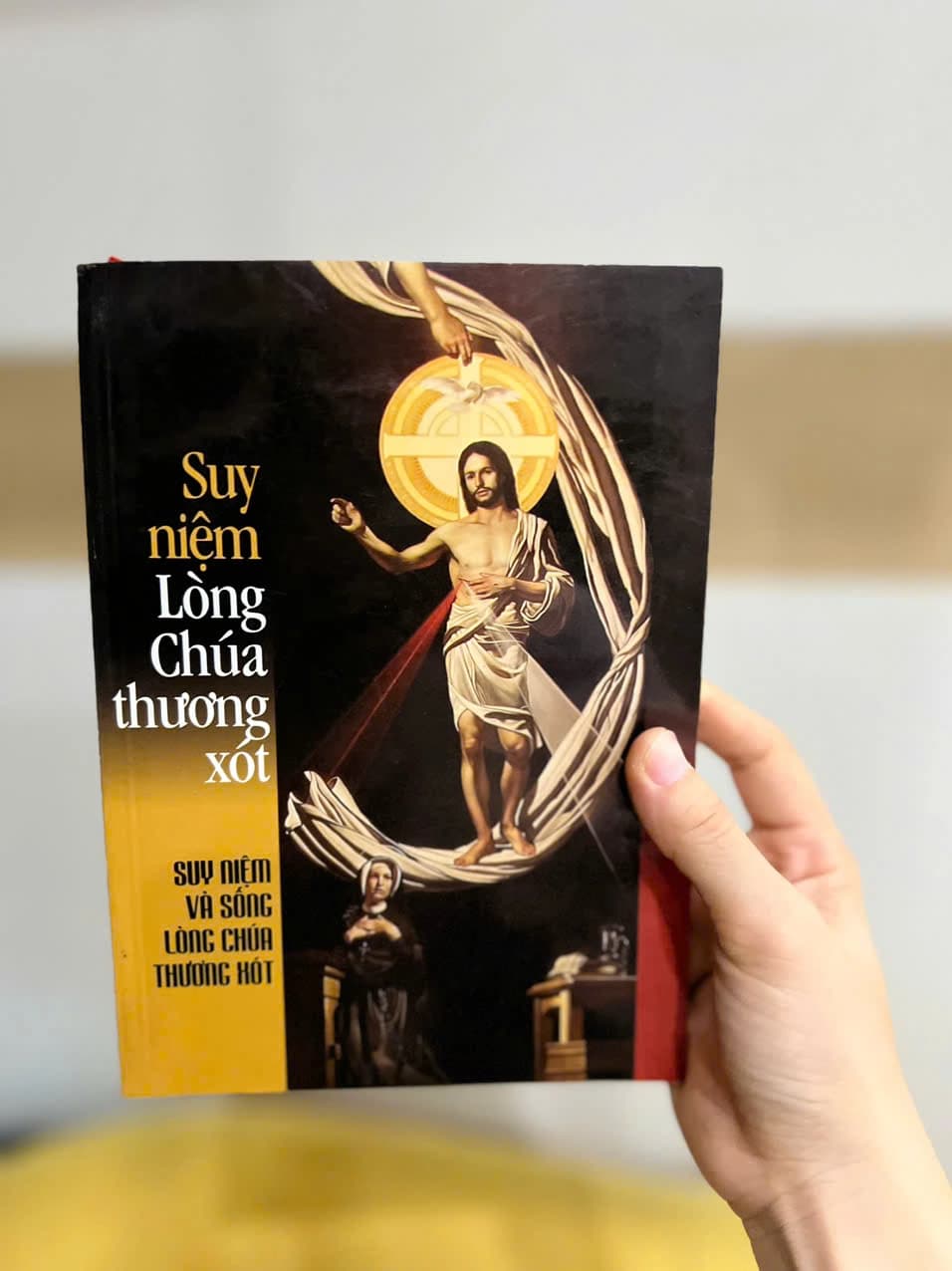 Suy Niệm Lòng Chúa Thương Sót - Image 1